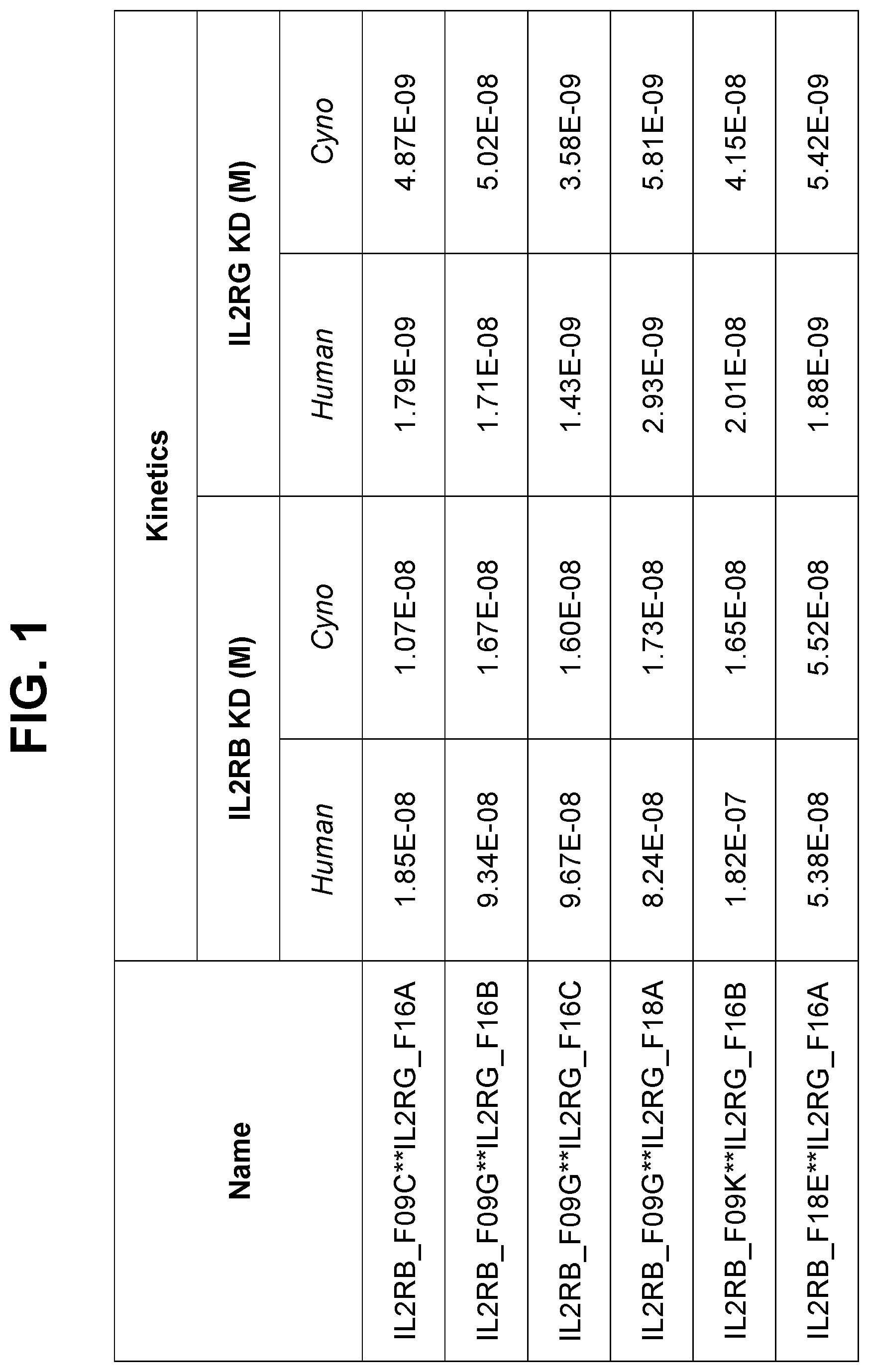 Patent US12590163 Figure 1 – Agonistic anti-IL-2R antibodies and methods of use