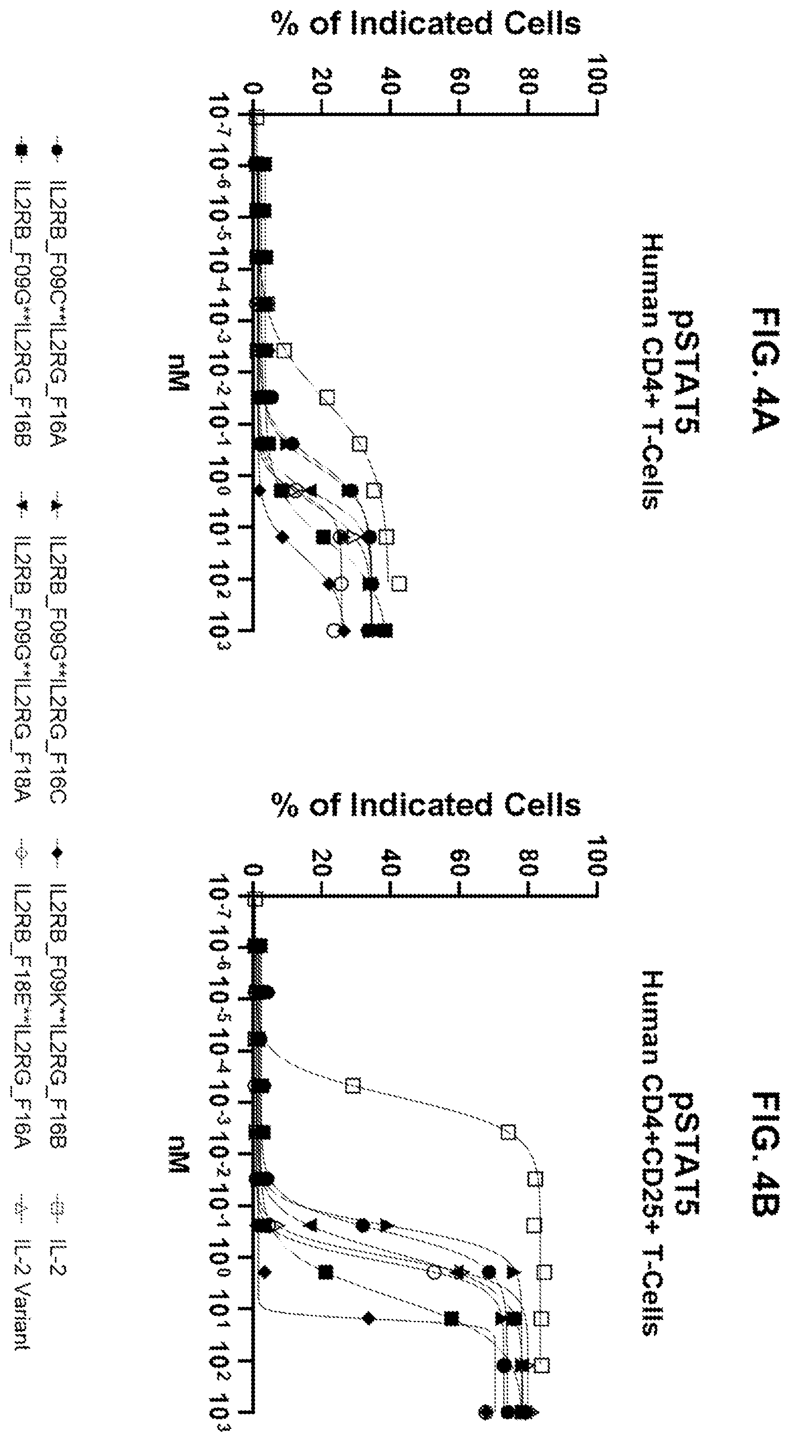 Patent US12590163 Figure 5 – Agonistic anti-IL-2R antibodies and methods of use