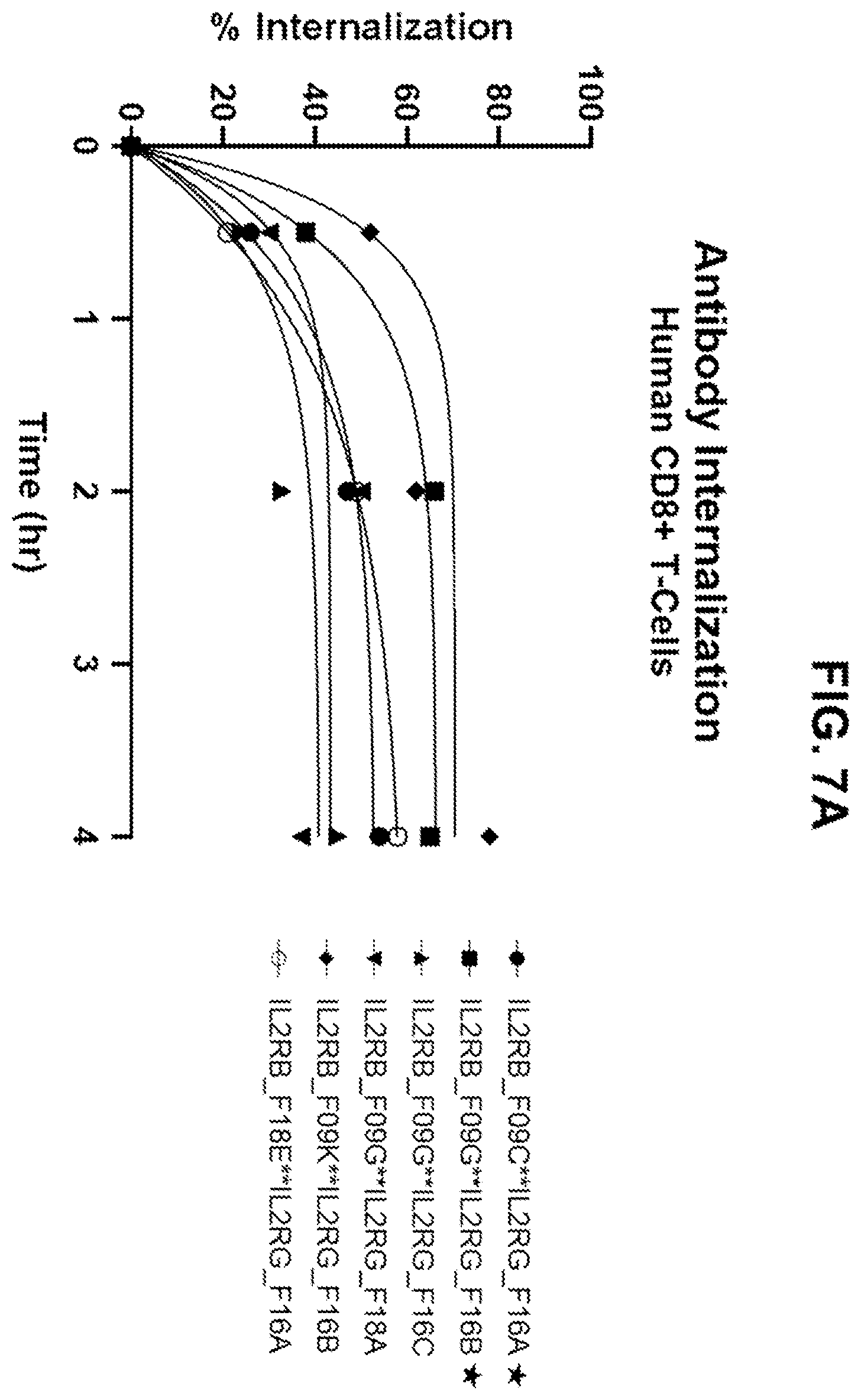Patent US12590163 Figure 12 – Agonistic anti-IL-2R antibodies and methods of use