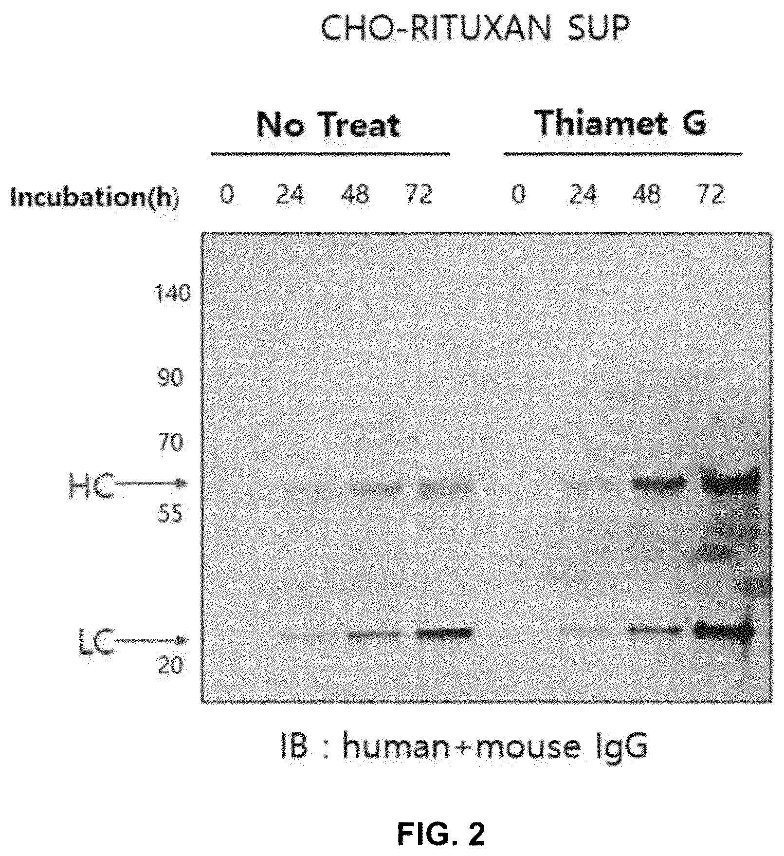 Patent US12590164 Figure 2 – Productivity-enhanced antibody and method for producing same