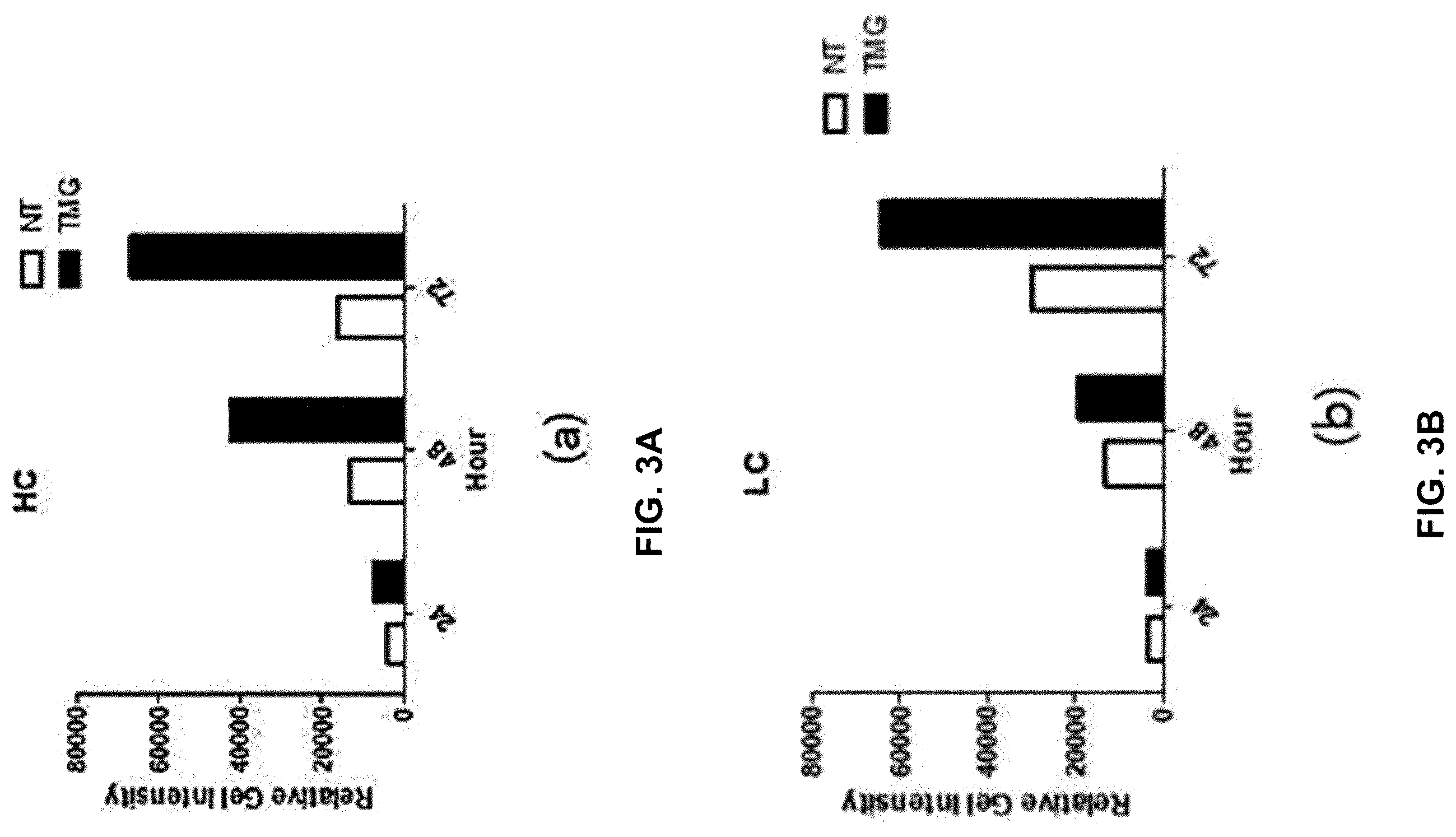 Patent US12590164 Figure 3 – Productivity-enhanced antibody and method for producing same