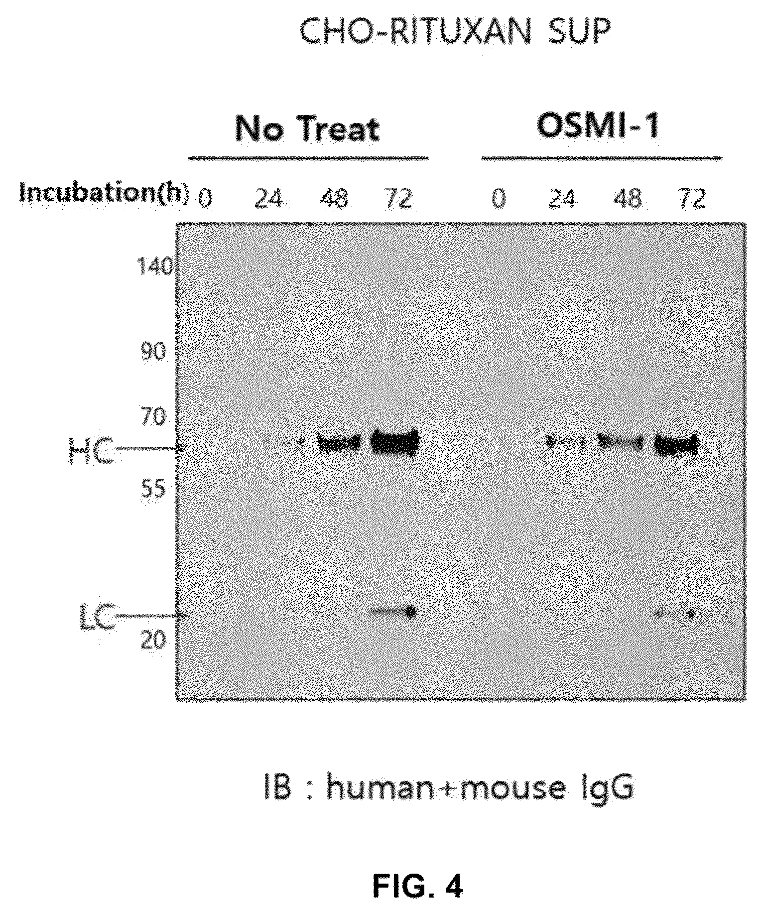 Patent US12590164 Figure 4 – Productivity-enhanced antibody and method for producing same
