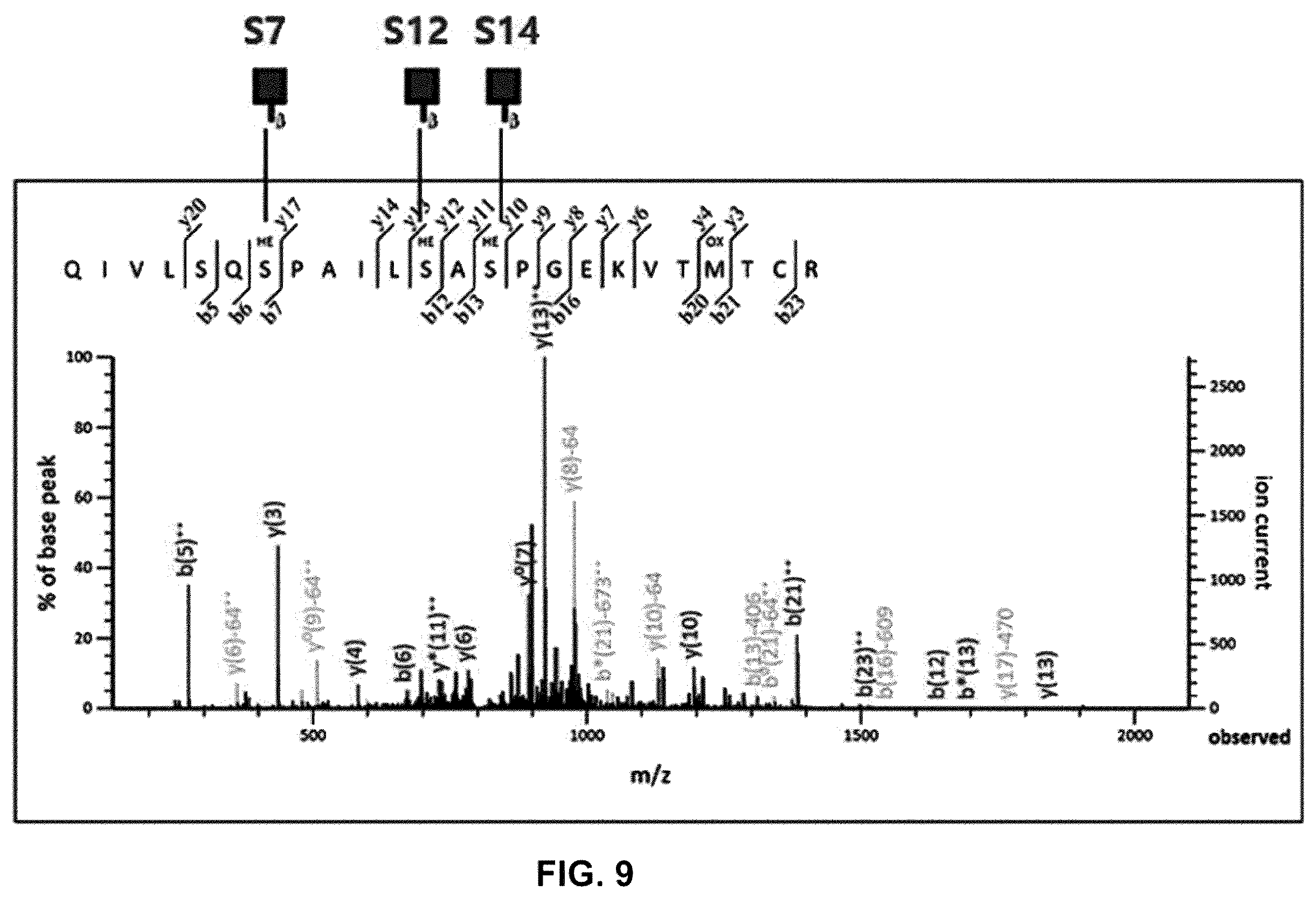Patent US12590164 Figure 11 – Productivity-enhanced antibody and method for producing same