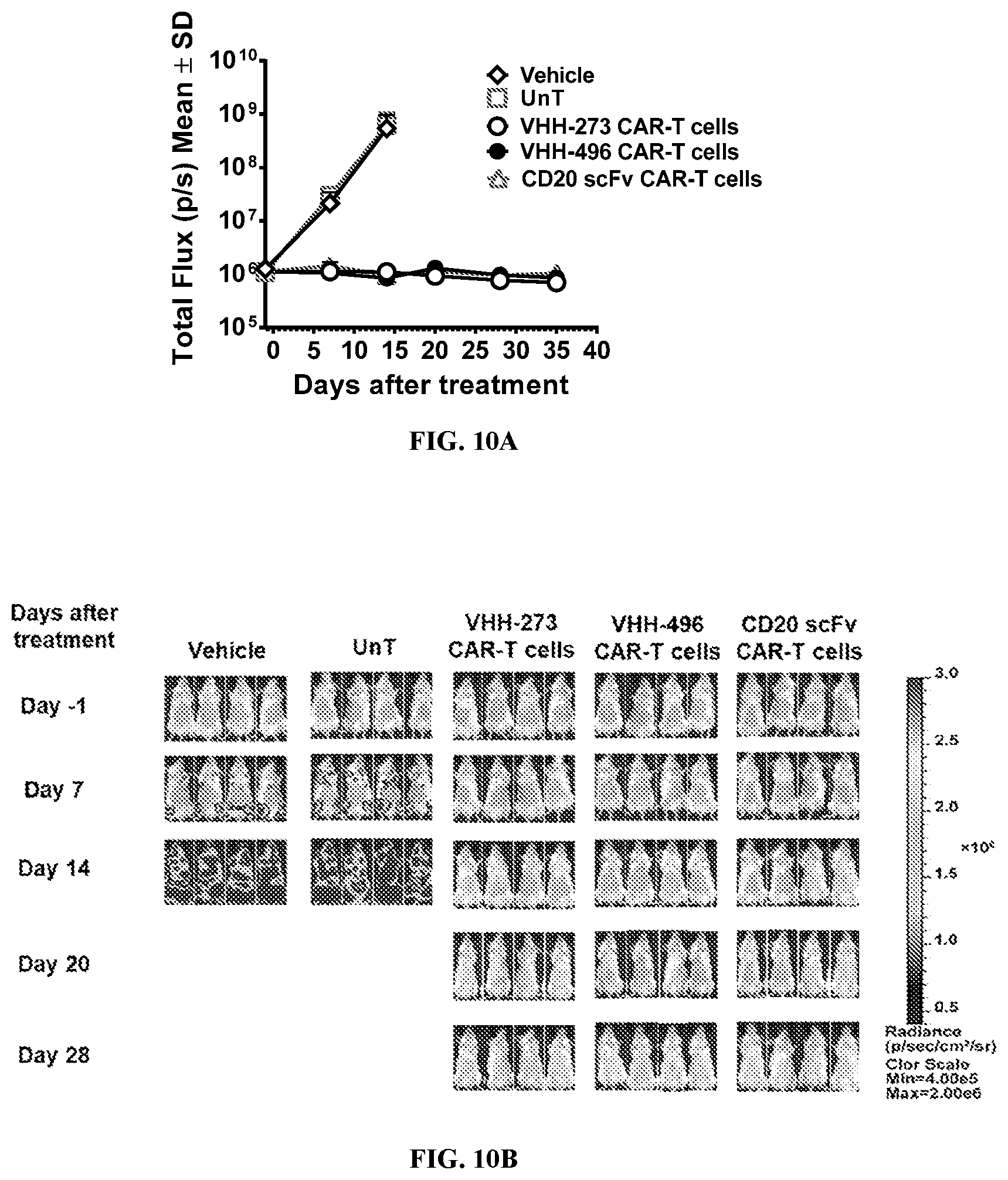 Patent US12590166 Figure 15 – CD20 binding molecules and uses thereof