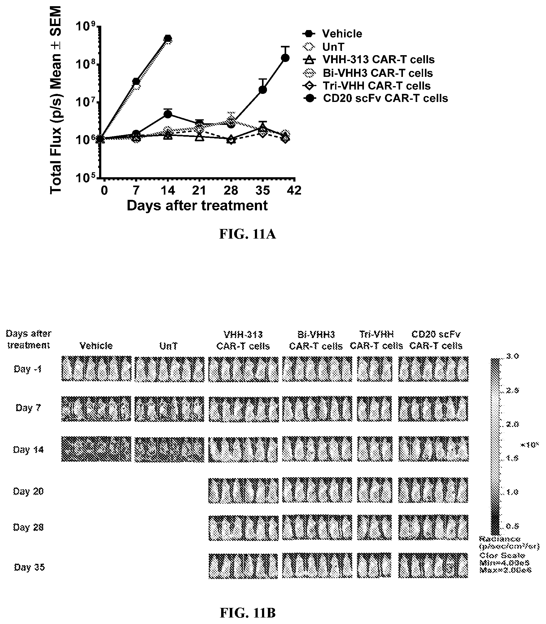 Patent US12590166 Figure 18 – CD20 binding molecules and uses thereof