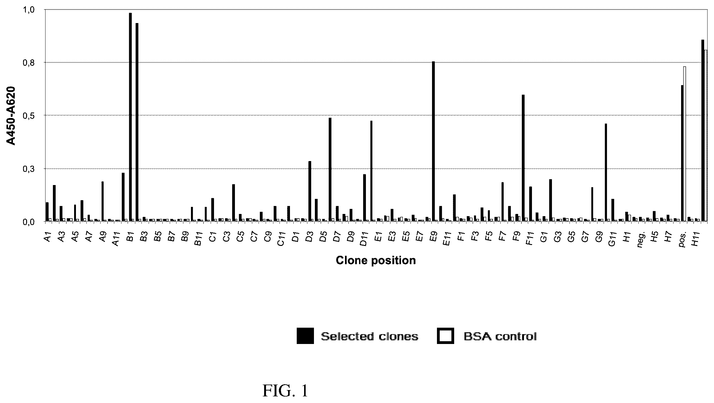 Patent US12590170 Figure 1 – Recombinant human antibodies that inhibit the human tissue kallikrein 7 (KLK7) and their use against diseases that cause desquamation of the skin