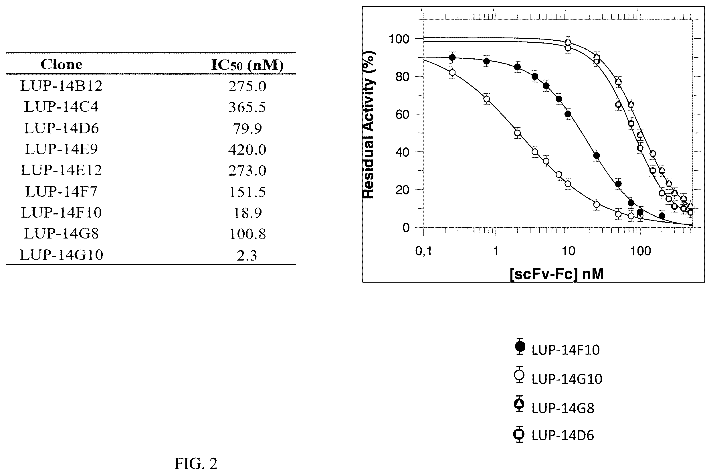 Patent US12590170 Figure 2 – Recombinant human antibodies that inhibit the human tissue kallikrein 7 (KLK7) and their use against diseases that cause desquamation of the skin
