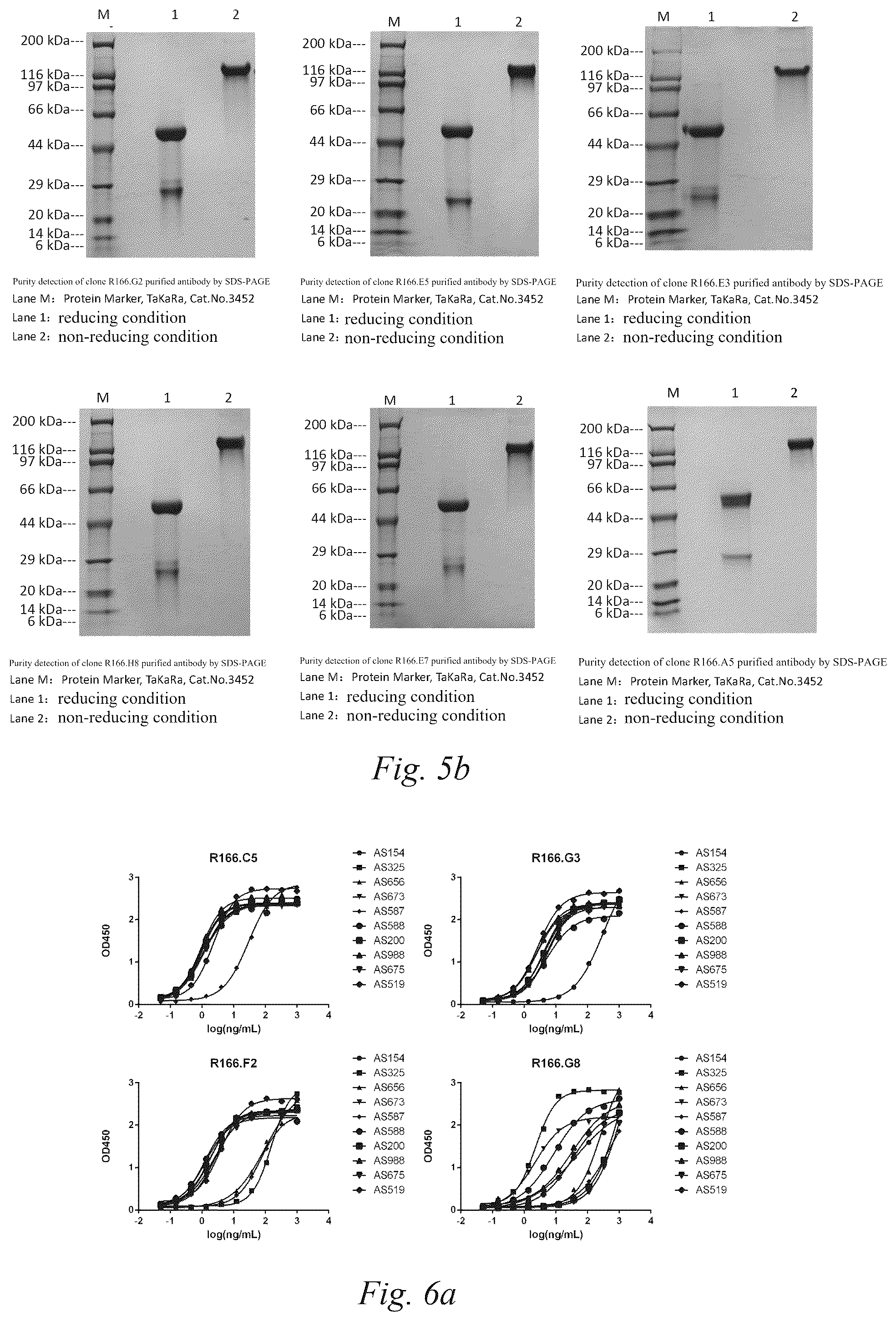 Patent US12590171 Figure 4 – Anti-VHH domain antibodies and use thereof