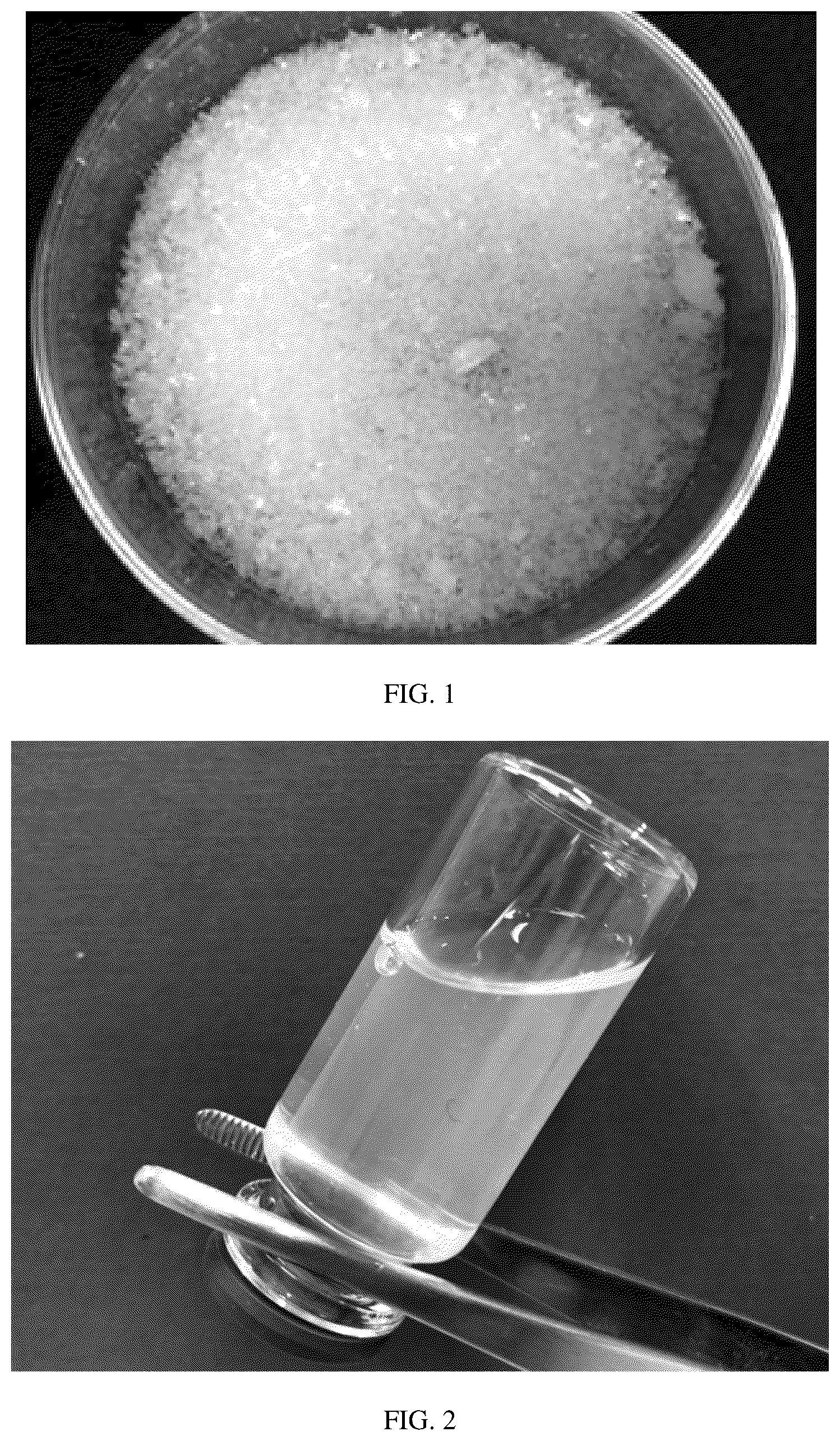 Patent US12590187 Figure 1 – Polymer composite capable of being quickly dissolved or dispersed in aqueous solvent and preparation method and application thereof