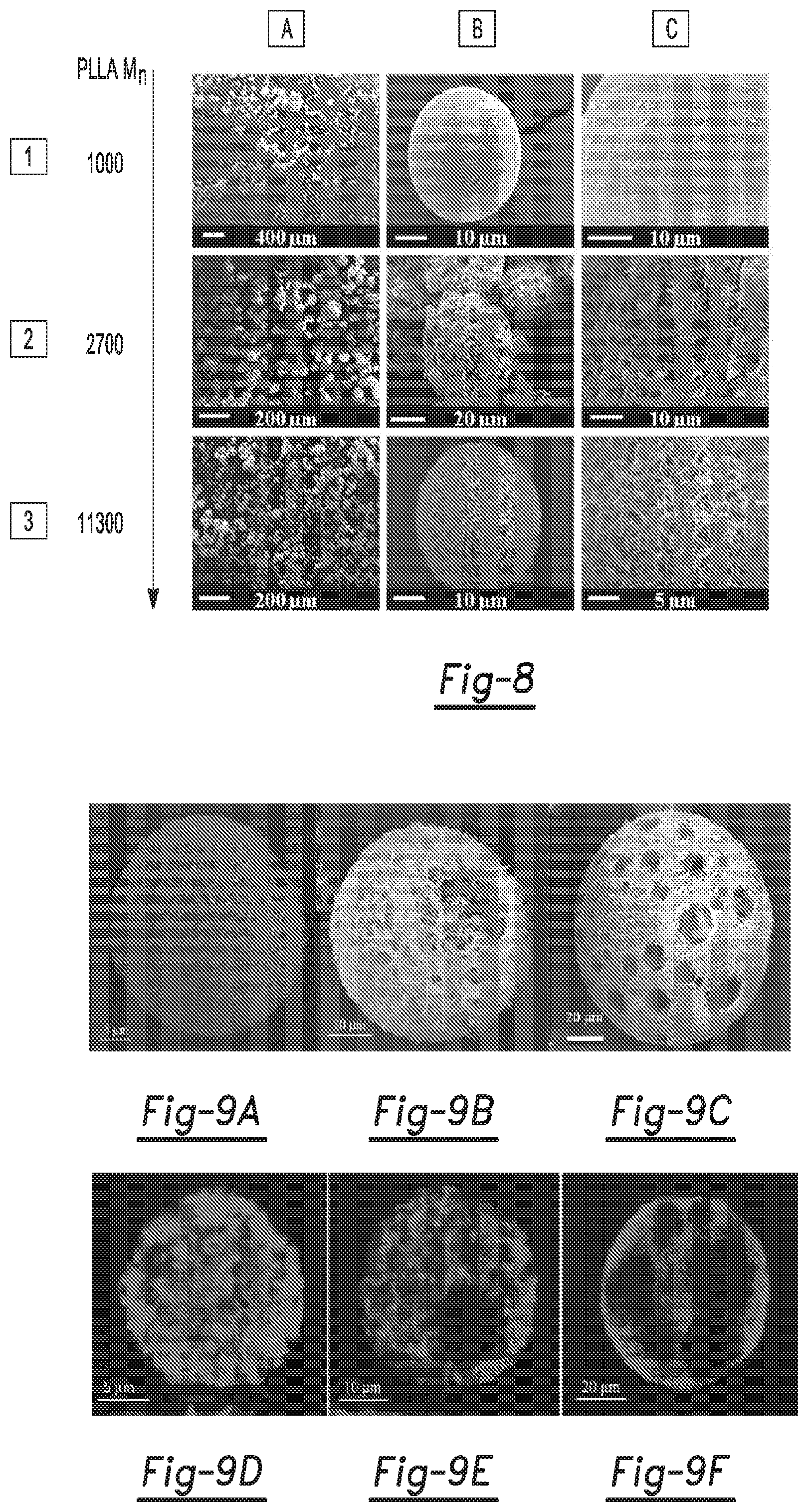 Patent US12590188 Figure 5 – Tri-block copolymers and nano-fibrous gelling microspheres including the same