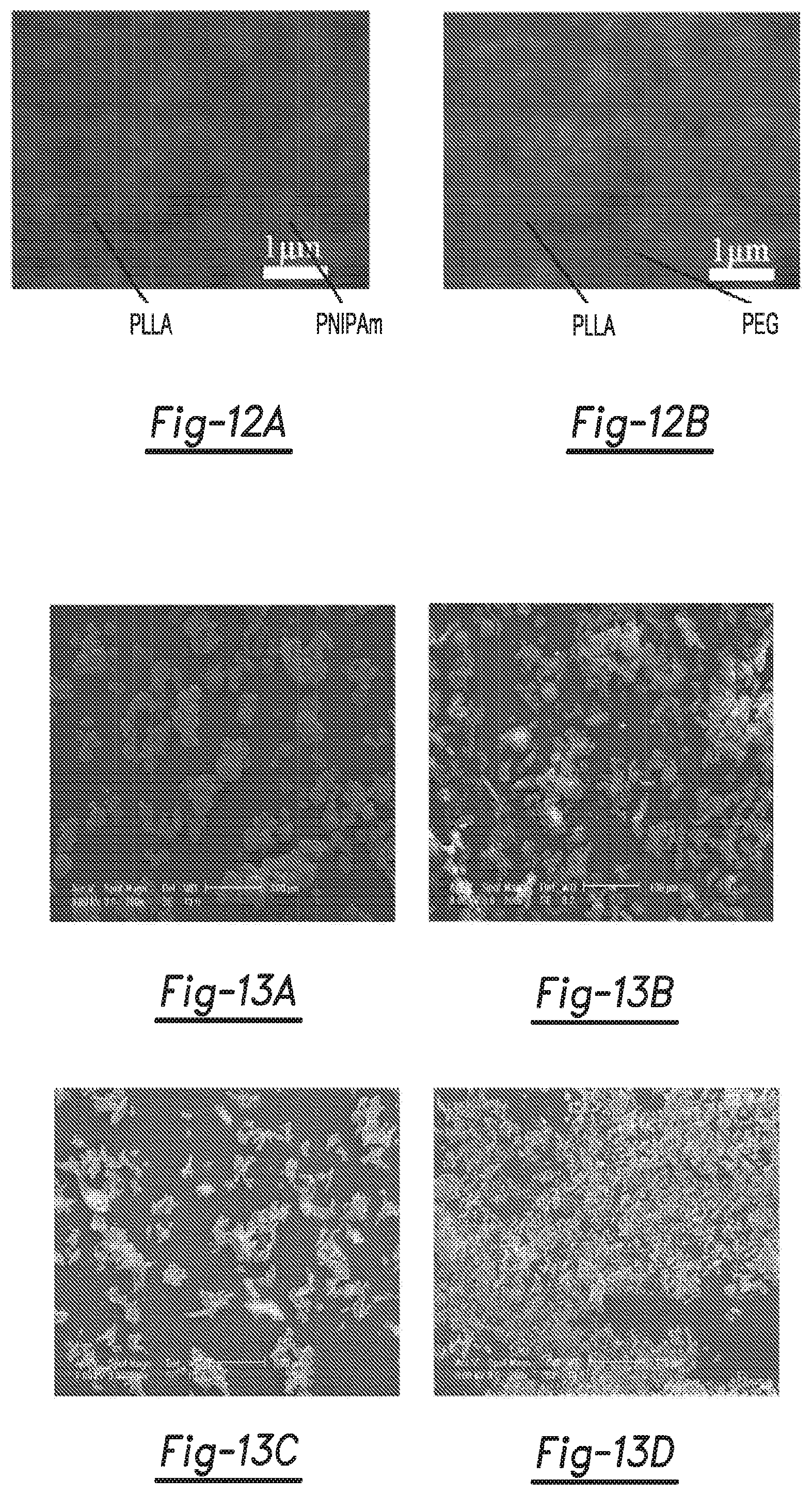Patent US12590188 Figure 7 – Tri-block copolymers and nano-fibrous gelling microspheres including the same