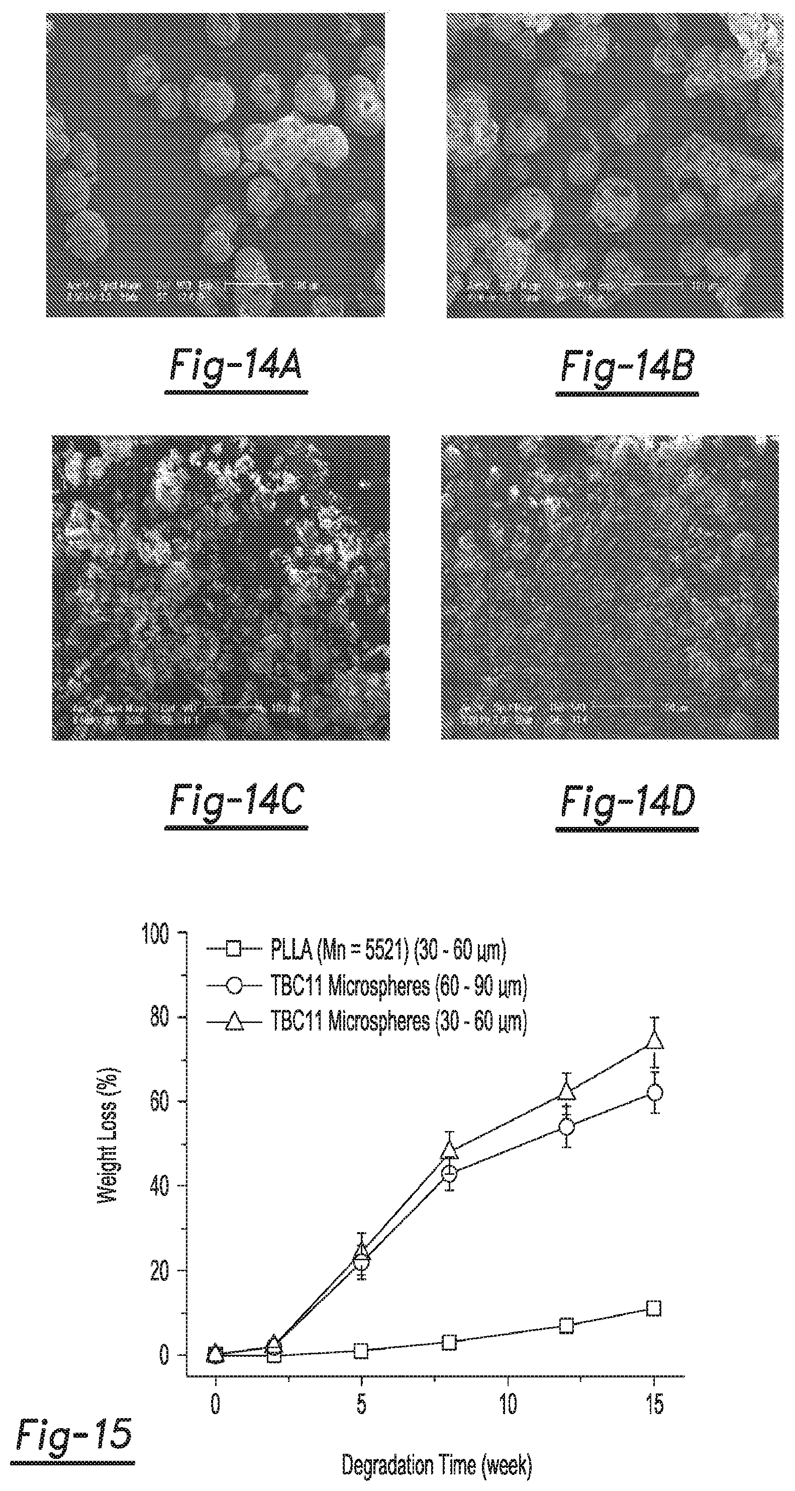 Patent US12590188 Figure 8 – Tri-block copolymers and nano-fibrous gelling microspheres including the same