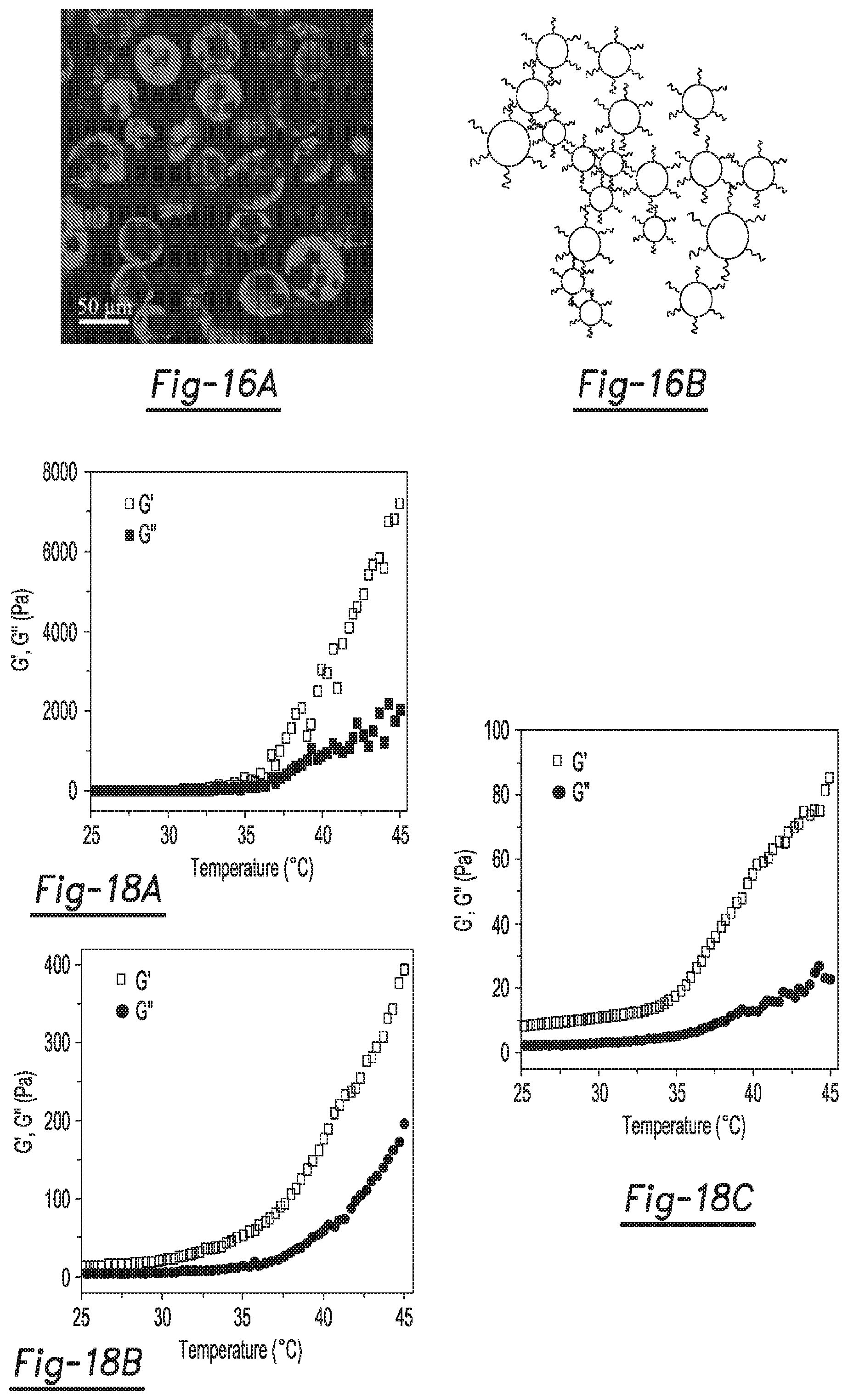 Patent US12590188 Figure 9 – Tri-block copolymers and nano-fibrous gelling microspheres including the same