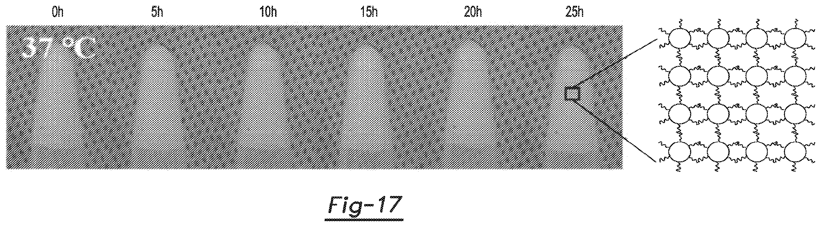 Patent US12590188 Figure 10 – Tri-block copolymers and nano-fibrous gelling microspheres including the same