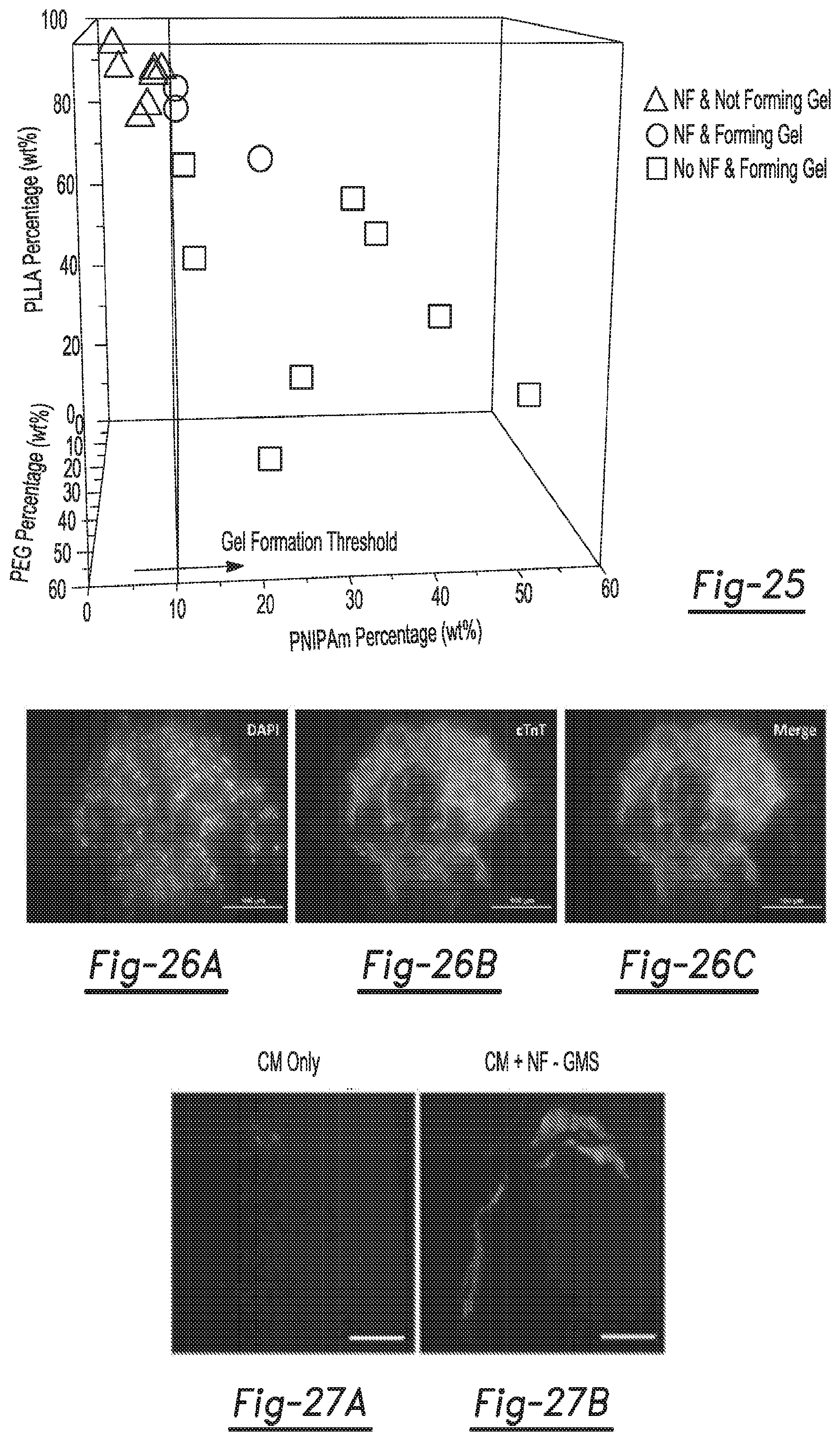 Patent US12590188 Figure 14 – Tri-block copolymers and nano-fibrous gelling microspheres including the same