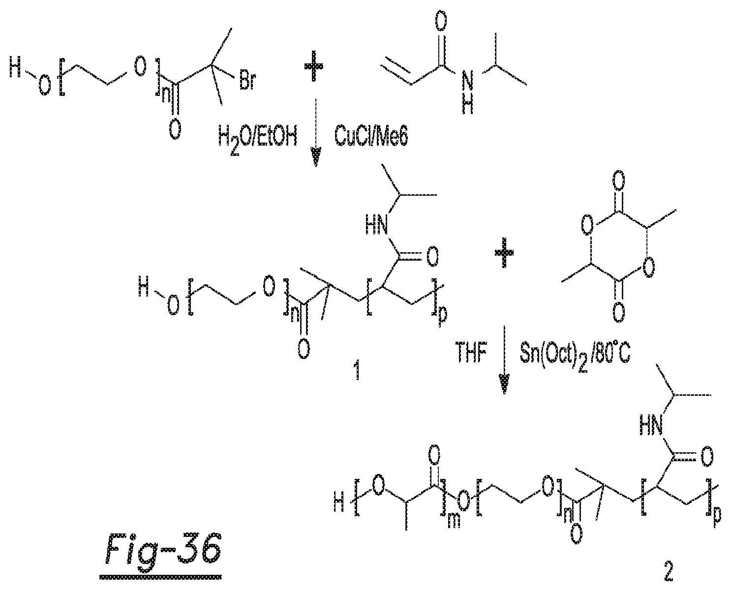 Patent US12590188 Figure 20 – Tri-block copolymers and nano-fibrous gelling microspheres including the same