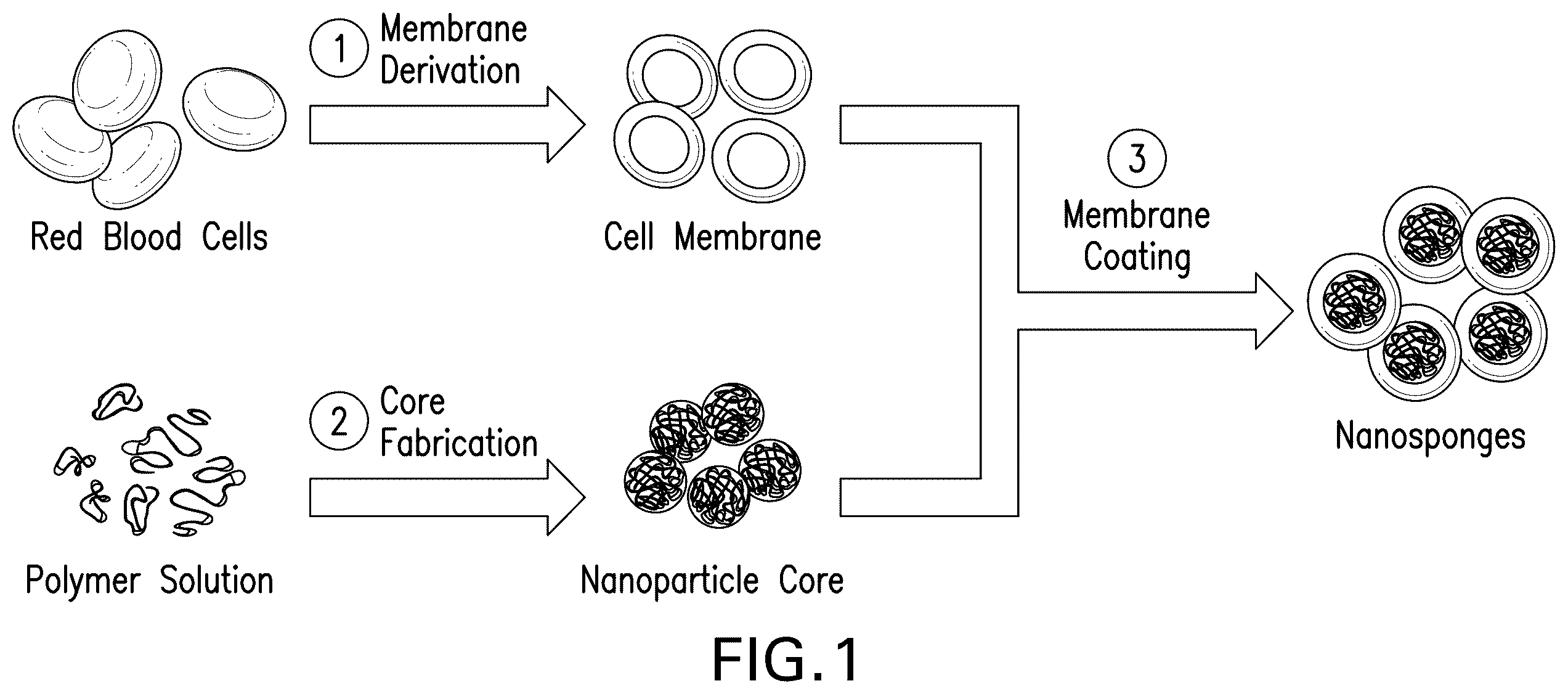 Patent US12590189 Figure 1 – Processes and systems for preparing cellular or viral membranes and nanoparticles