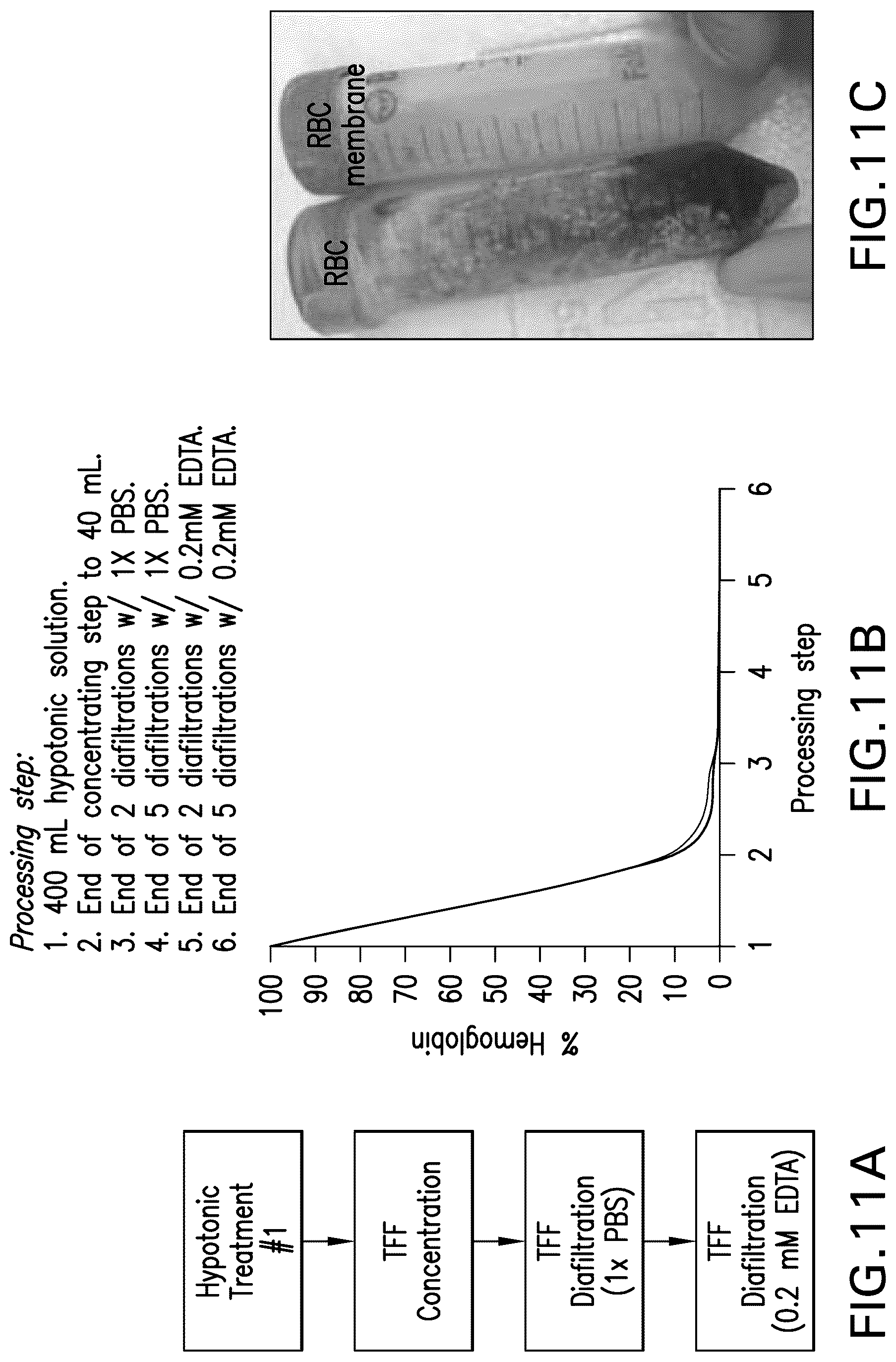 Patent US12590189 Figure 15 – Processes and systems for preparing cellular or viral membranes and nanoparticles