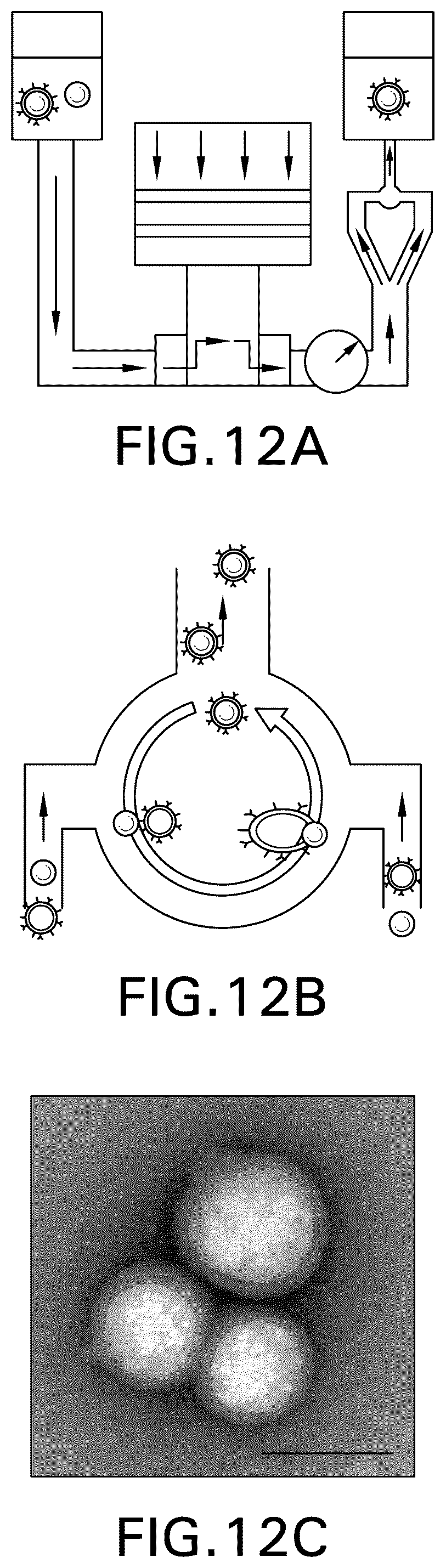 Patent US12590189 Figure 16 – Processes and systems for preparing cellular or viral membranes and nanoparticles