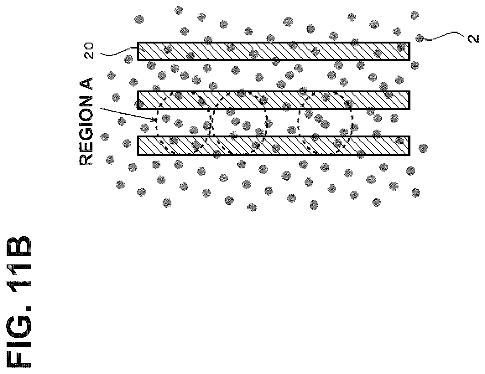 Patent US12590194 Figure 16 – Anisotropic conductive film