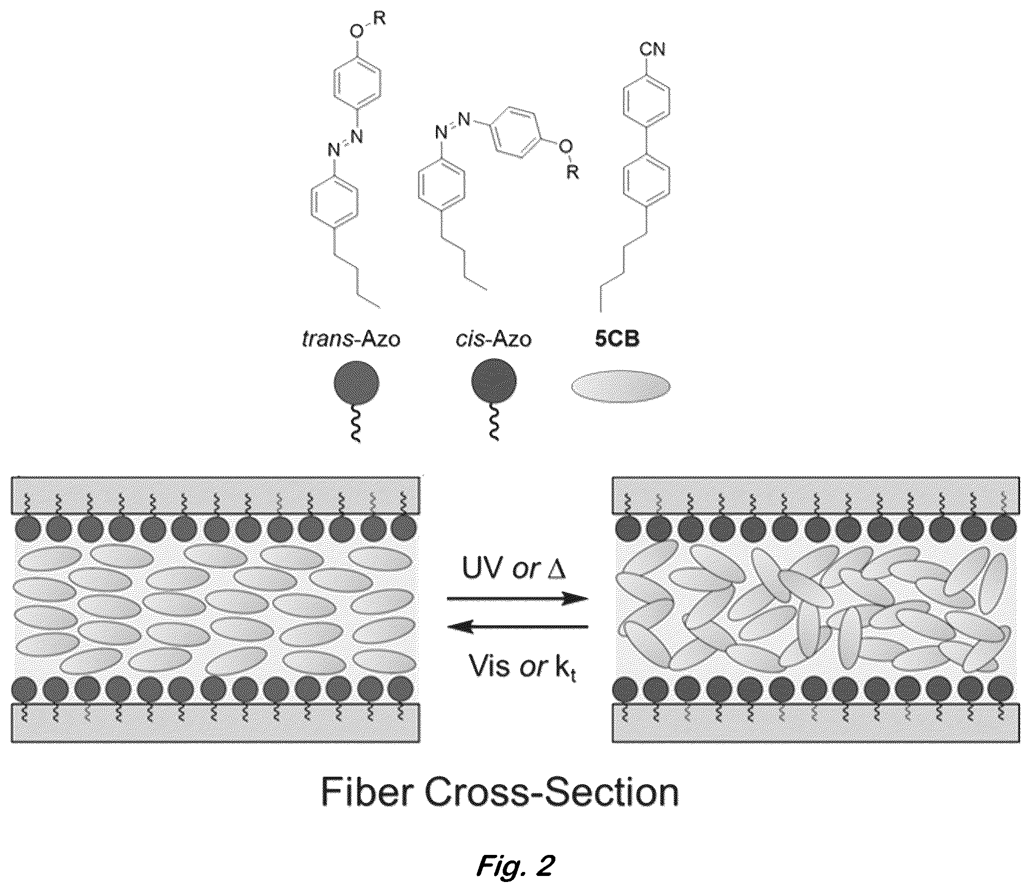 Patent US12590204 Figure 2 – Color changing coaxial polymer fibers