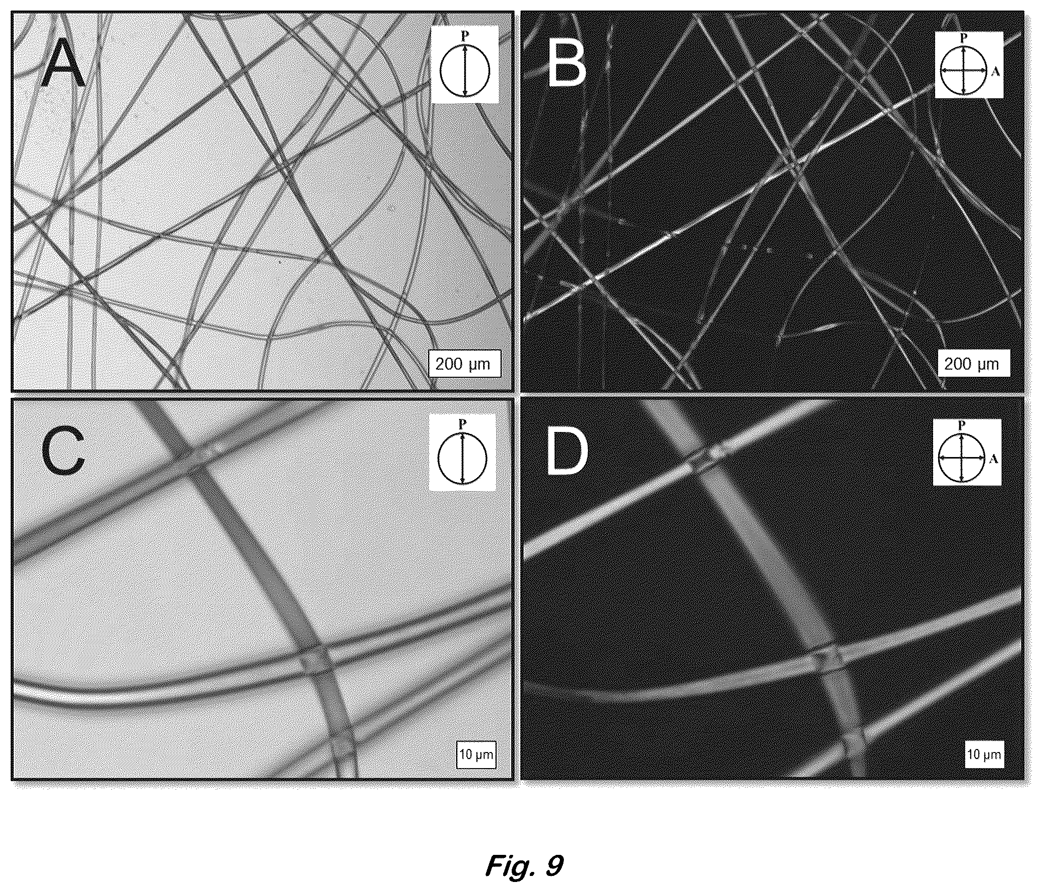 Patent US12590204 Figure 9 – Color changing coaxial polymer fibers