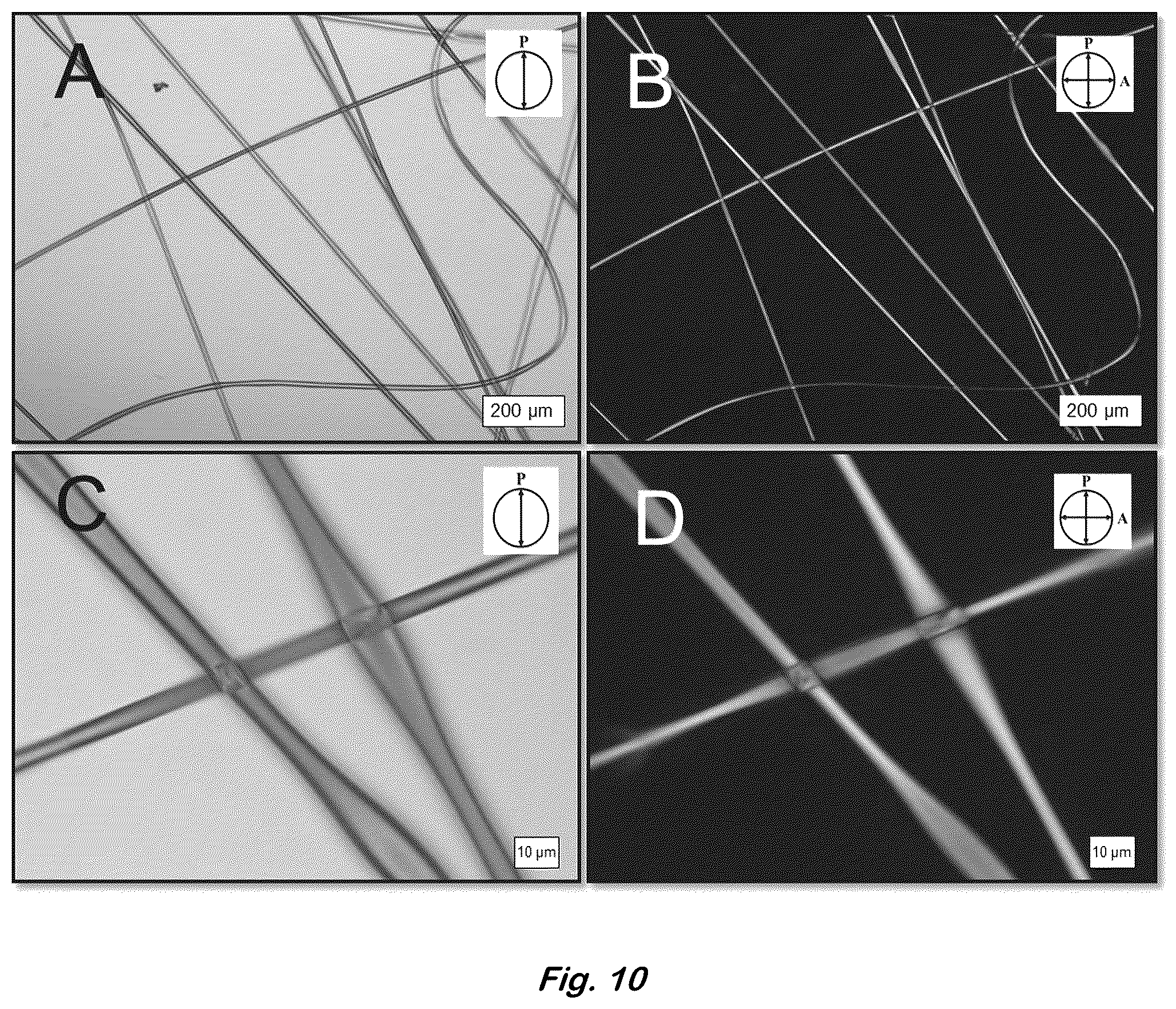Patent US12590204 Figure 10 – Color changing coaxial polymer fibers