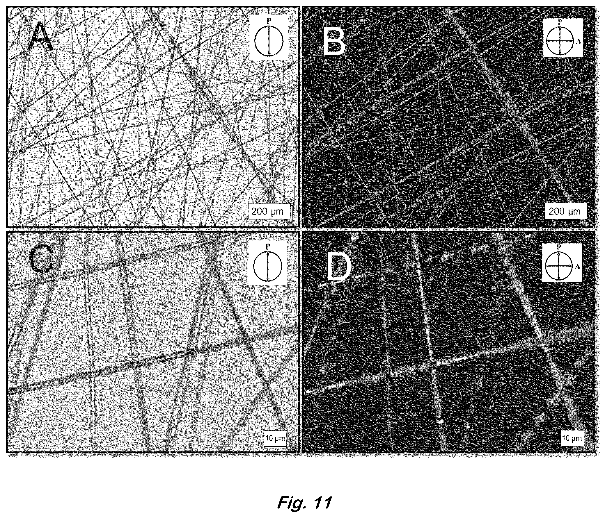 Patent US12590204 Figure 11 – Color changing coaxial polymer fibers