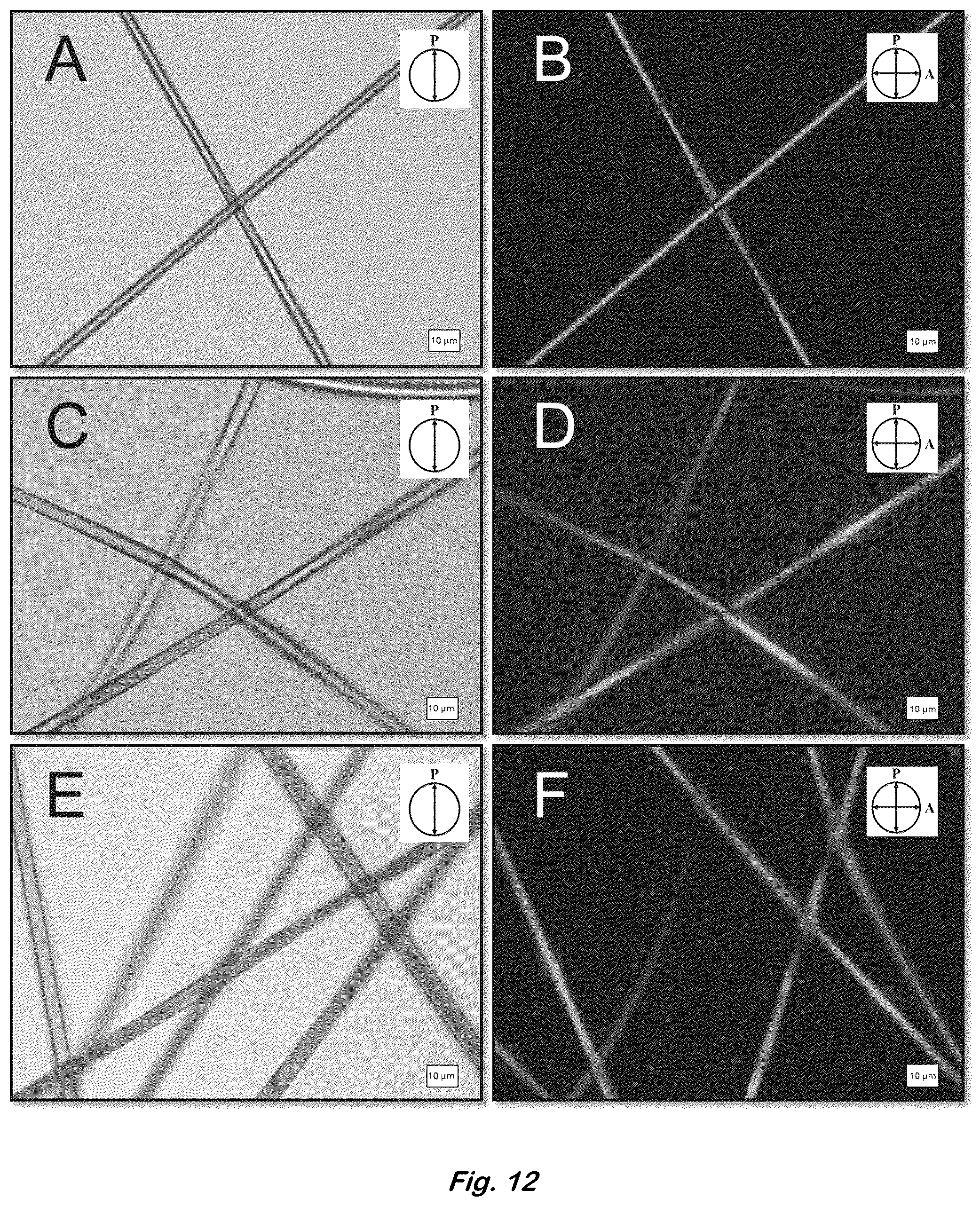 Patent US12590204 Figure 12 – Color changing coaxial polymer fibers