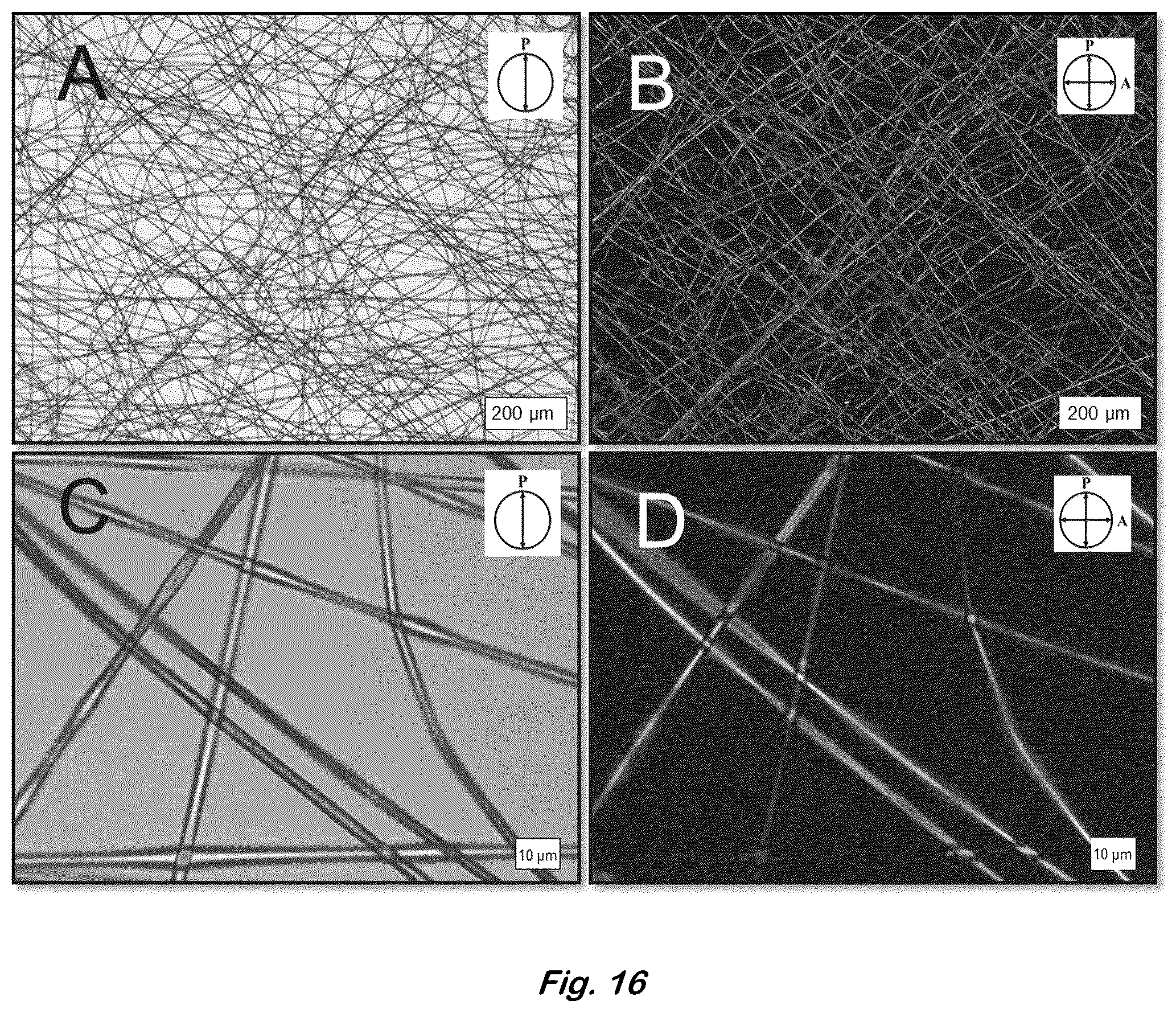 Patent US12590204 Figure 16 – Color changing coaxial polymer fibers