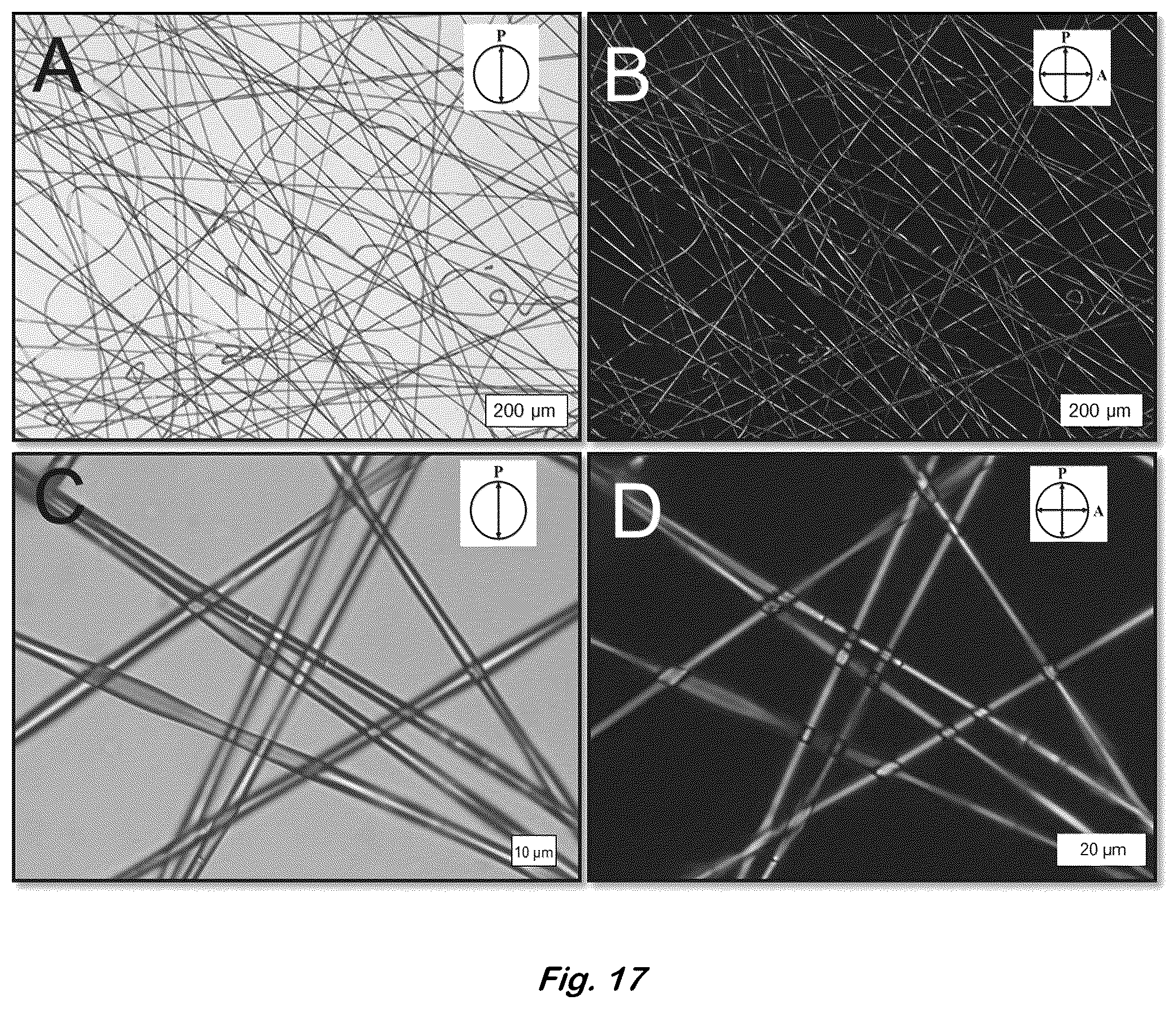 Patent US12590204 Figure 17 – Color changing coaxial polymer fibers