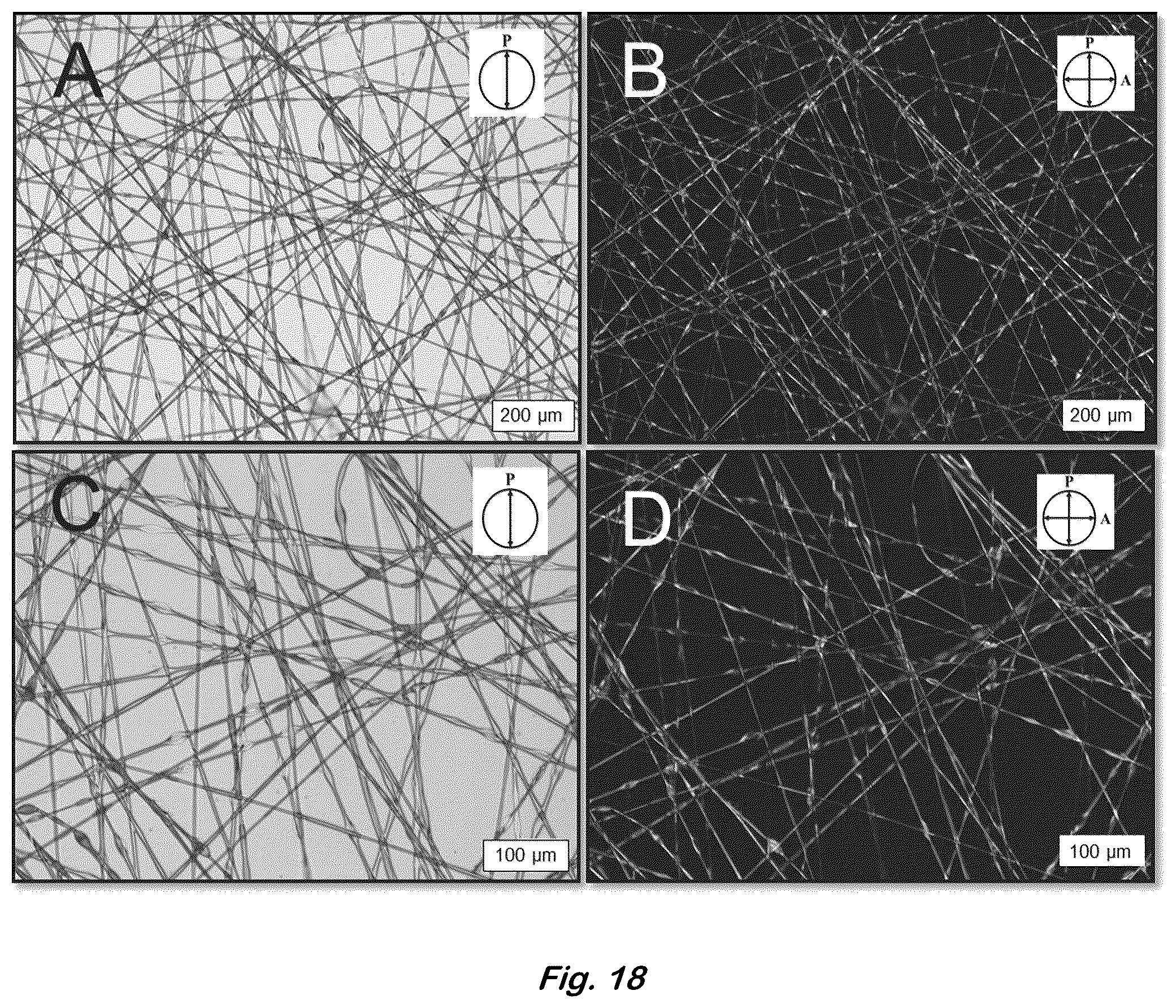 Patent US12590204 Figure 18 – Color changing coaxial polymer fibers