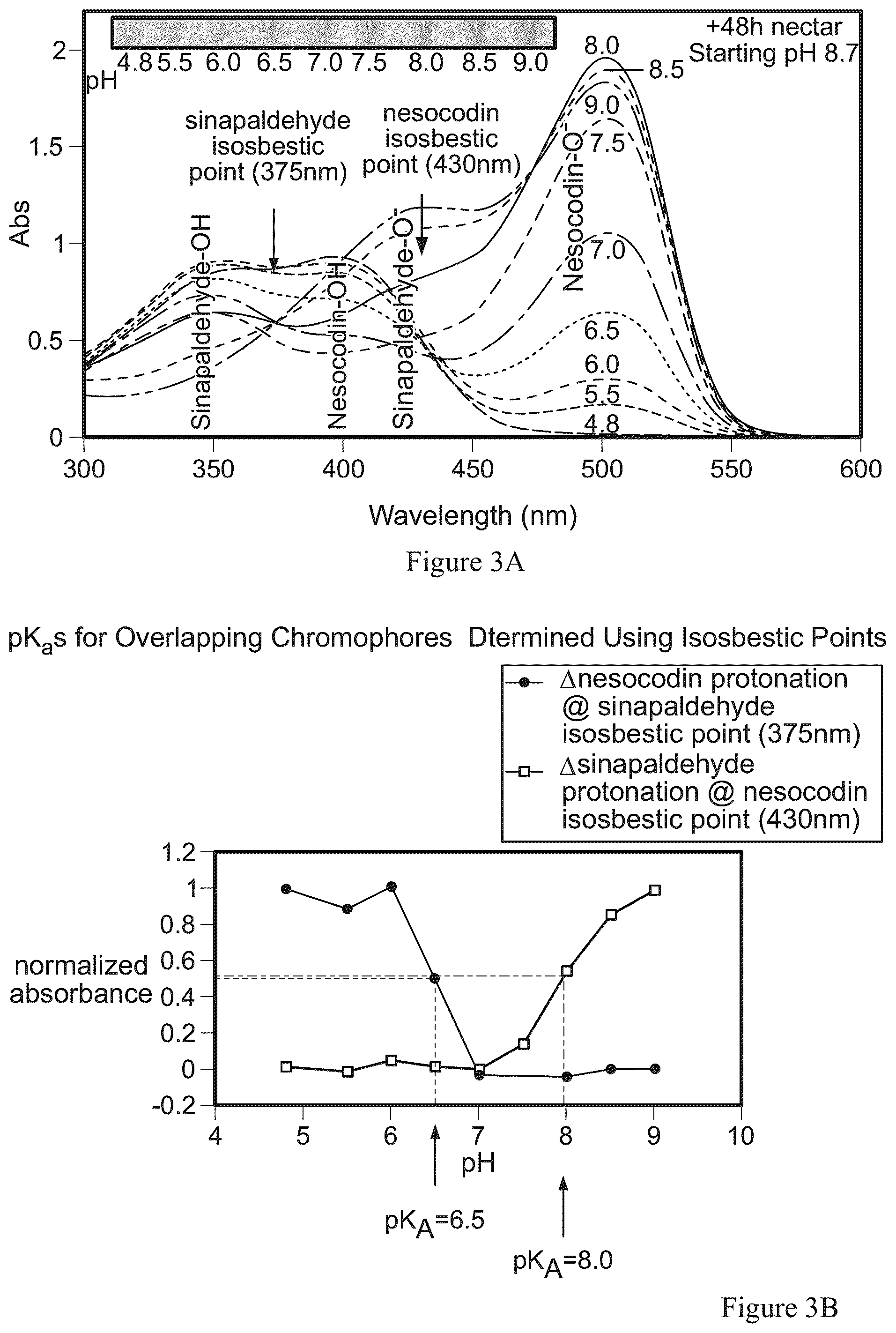 Patent US12590209 Figure 4 – Pigmented and fluorescent compounds derived from the addition of a primary or secondary amine to an aldehyde