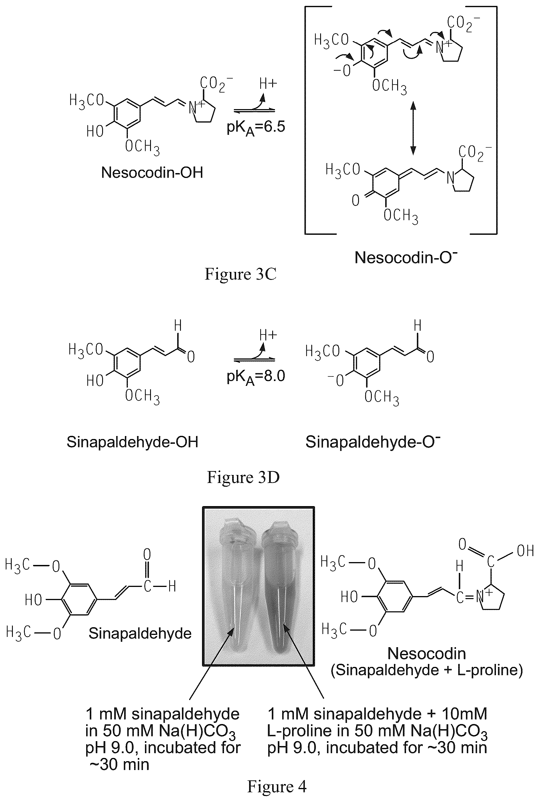 Patent US12590209 Figure 5 – Pigmented and fluorescent compounds derived from the addition of a primary or secondary amine to an aldehyde