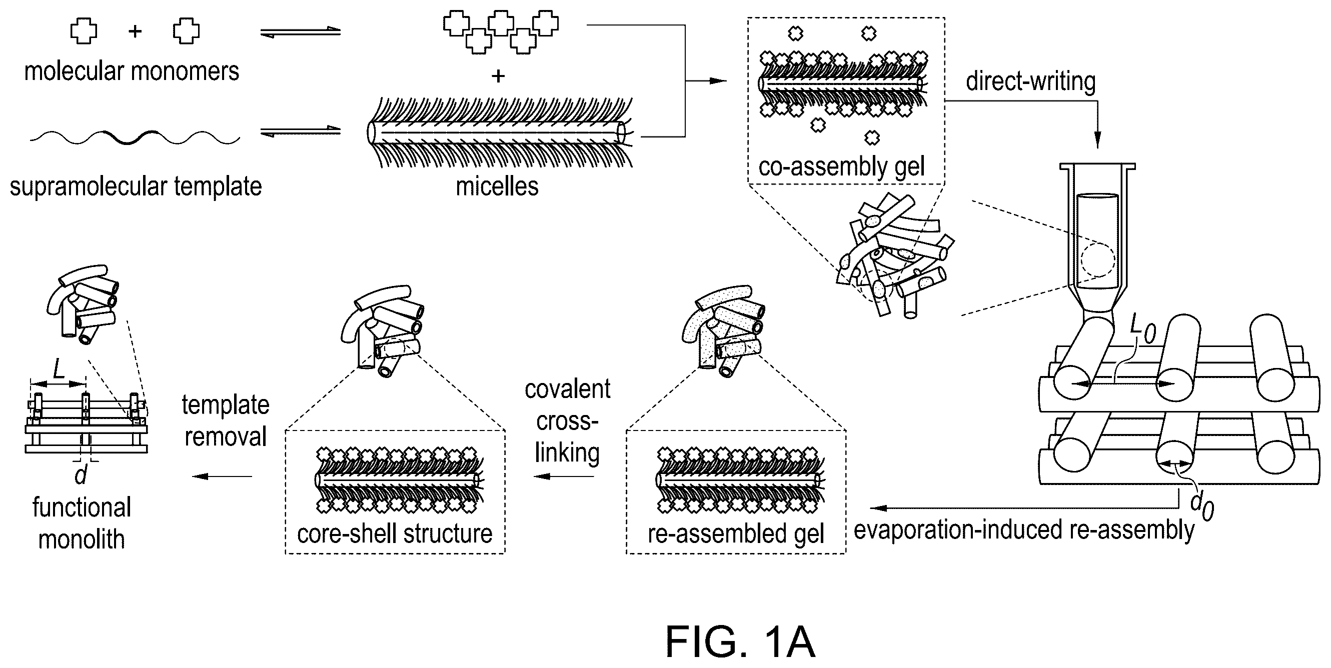 Patent US12590213 Figure 1 – Three-dimensional printing with supramolecular templated hydrogels