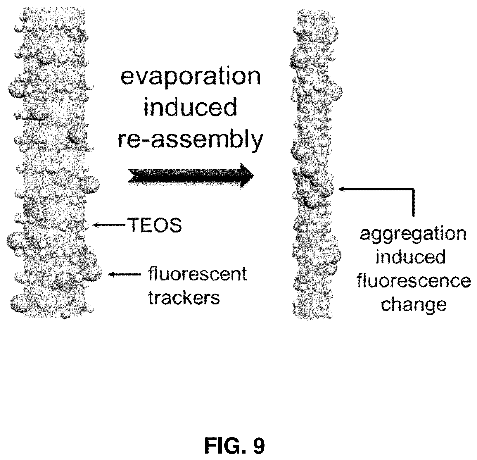 Patent US12590213 Figure 11 – Three-dimensional printing with supramolecular templated hydrogels