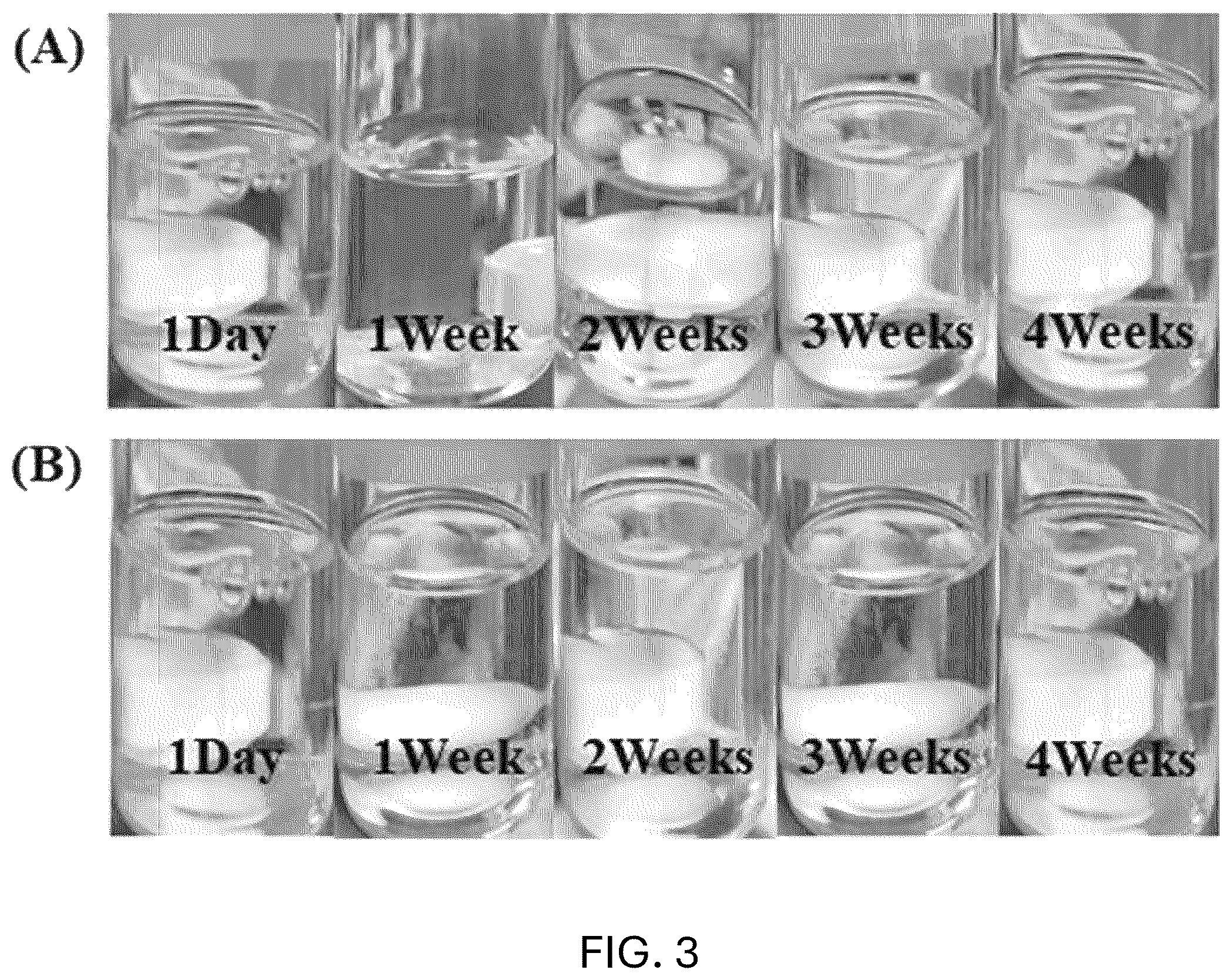 Patent US12590223 Figure 3 – Method for preparing metallopolymer-based coating solution
