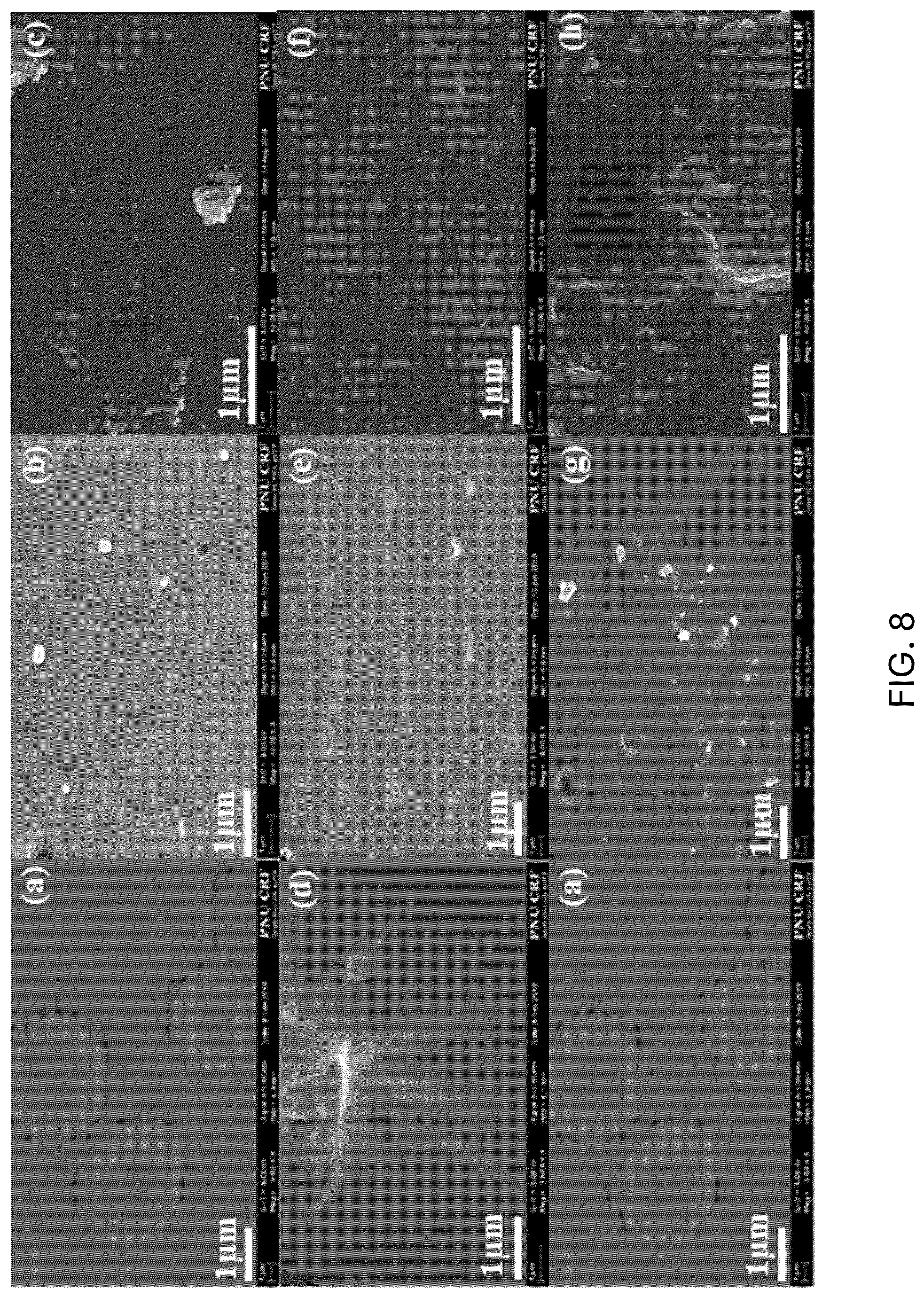 Patent US12590223 Figure 7 – Method for preparing metallopolymer-based coating solution