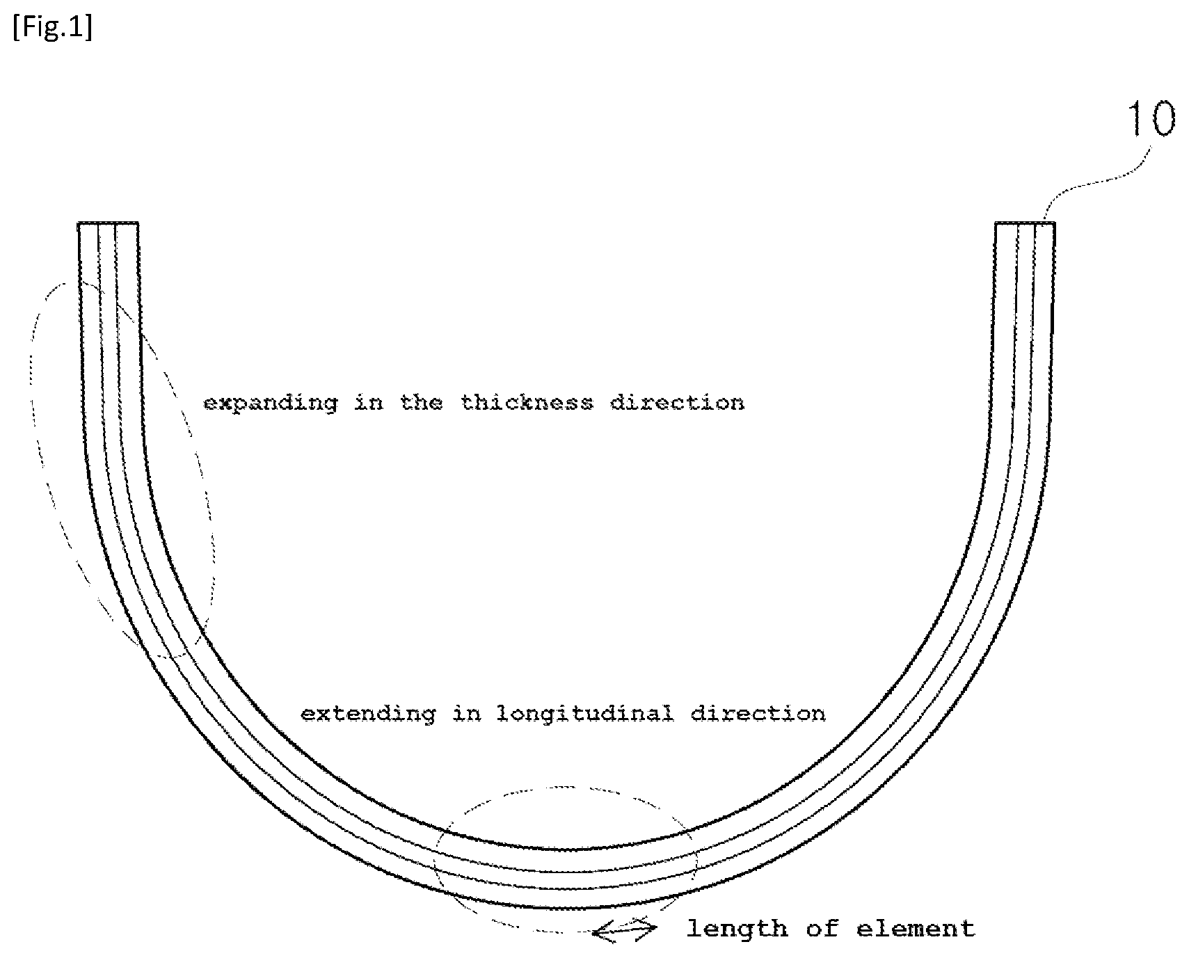 Patent US12590232 — Multi-region foldable adhesive film and fabrication method therefor — Figure 1