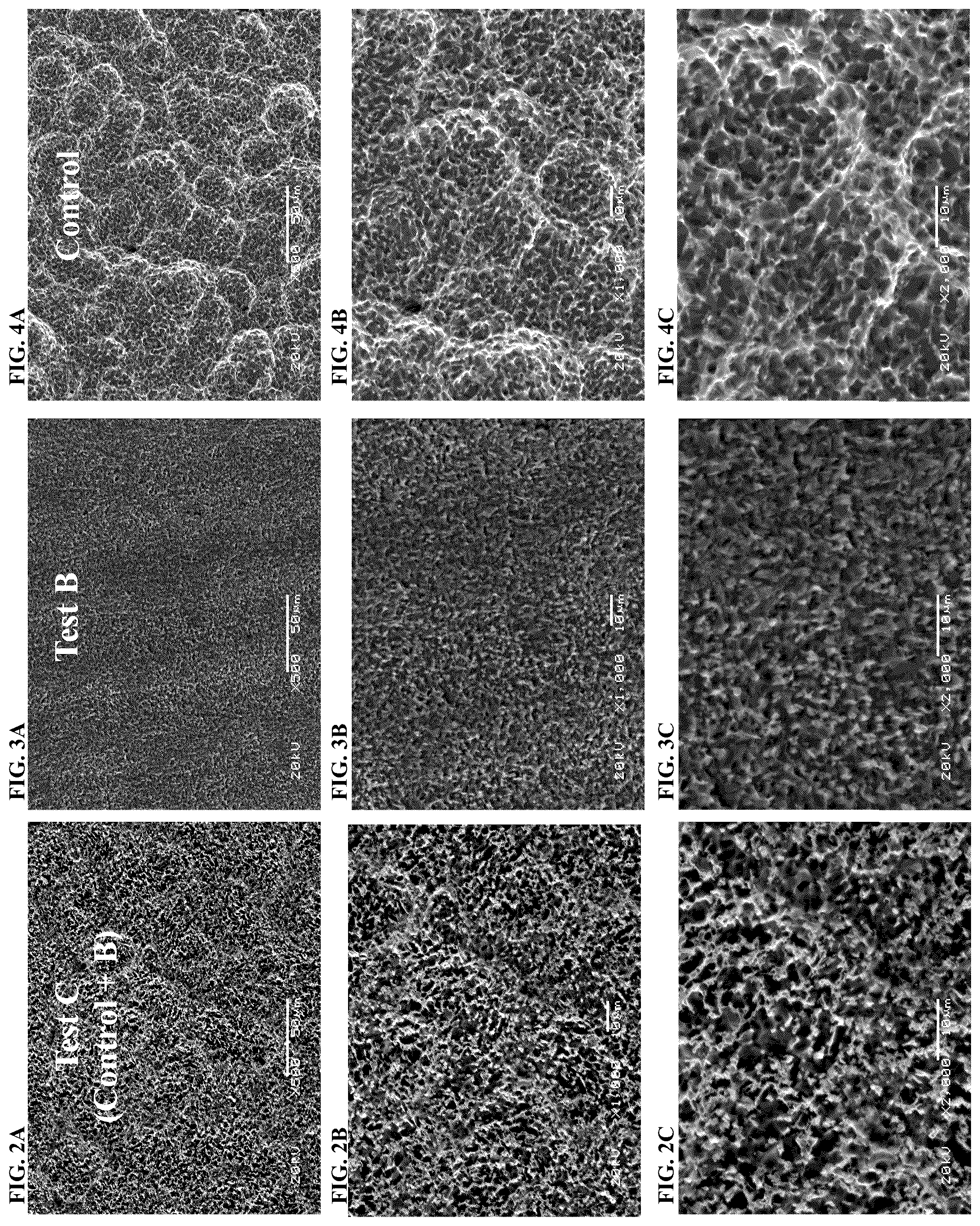 Patent US12590248 Figure 2 – Composition and method for creating nanoscale surface geometry on an implantable device