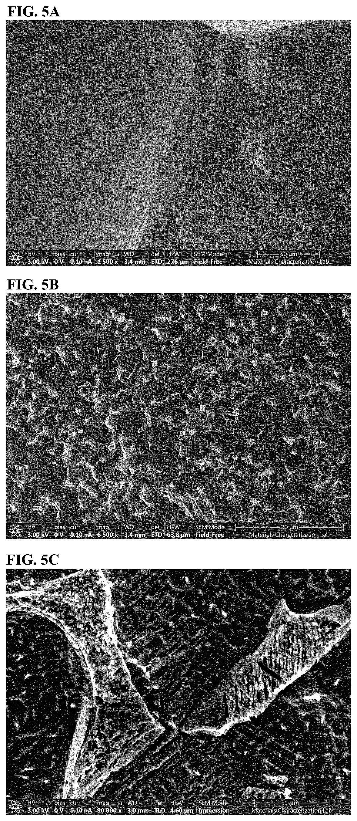 Patent US12590248 Figure 3 – Composition and method for creating nanoscale surface geometry on an implantable device