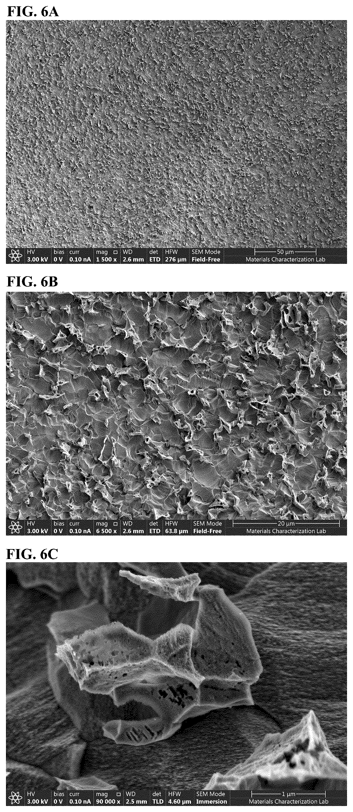 Patent US12590248 Figure 4 – Composition and method for creating nanoscale surface geometry on an implantable device