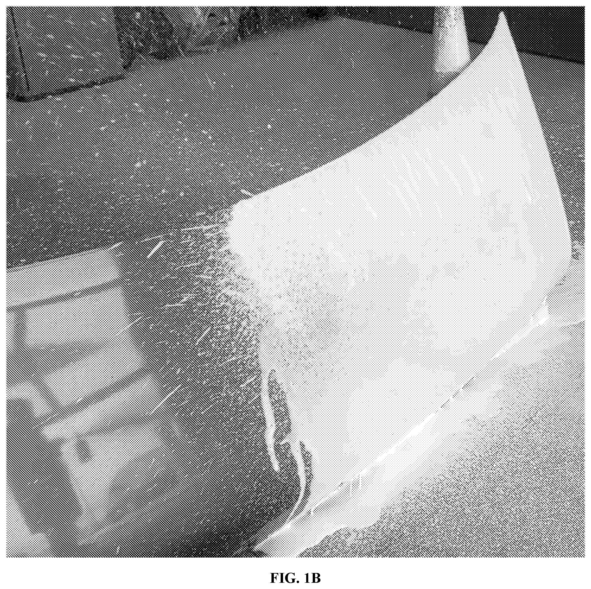 Patent US12590272 Figure 2 – Hydrophobic finish car wash compositions comprising an aminosilicone and amphoteric/nonionic surfactant mixture