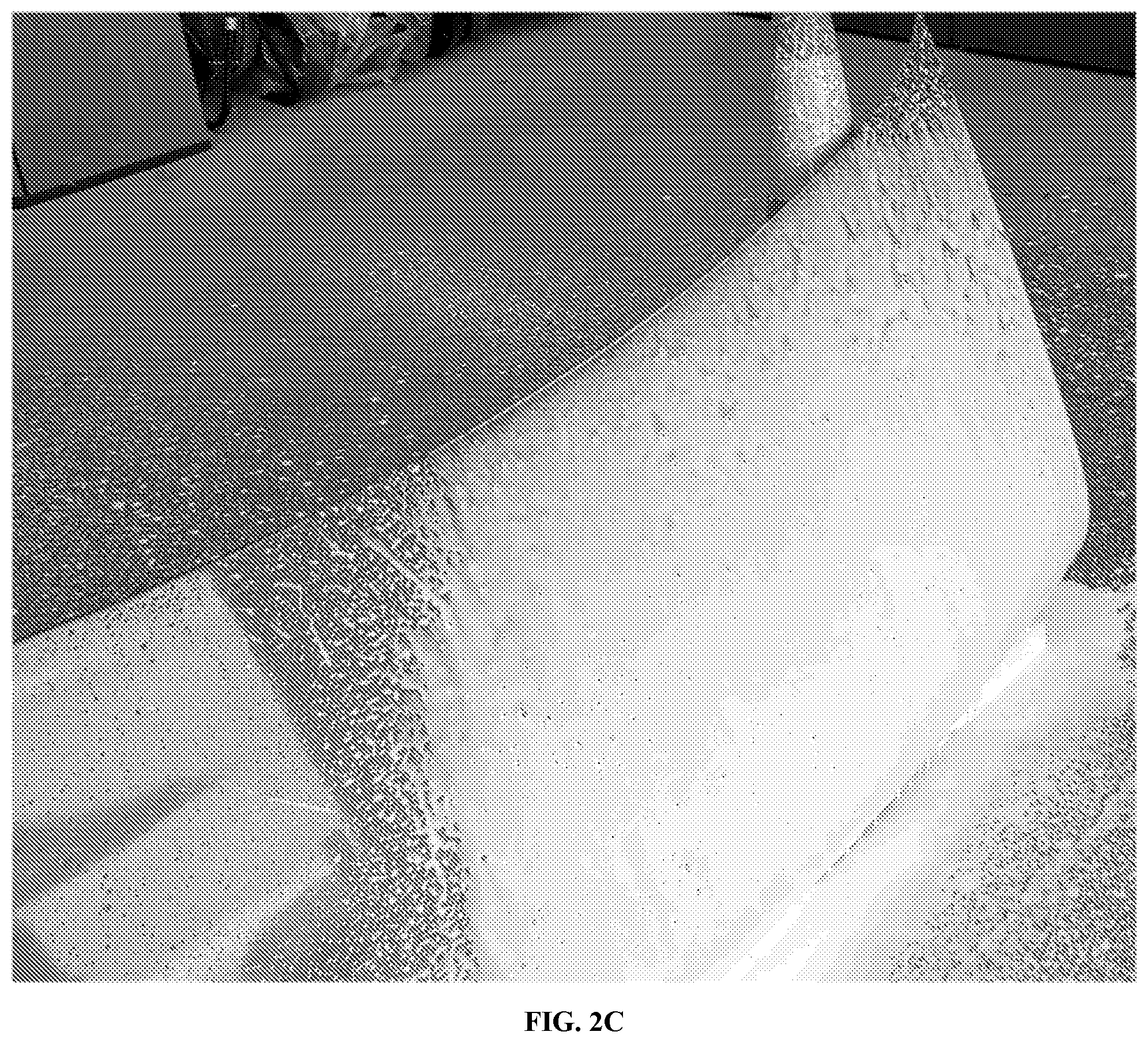 Patent US12590272 Figure 7 – Hydrophobic finish car wash compositions comprising an aminosilicone and amphoteric/nonionic surfactant mixture