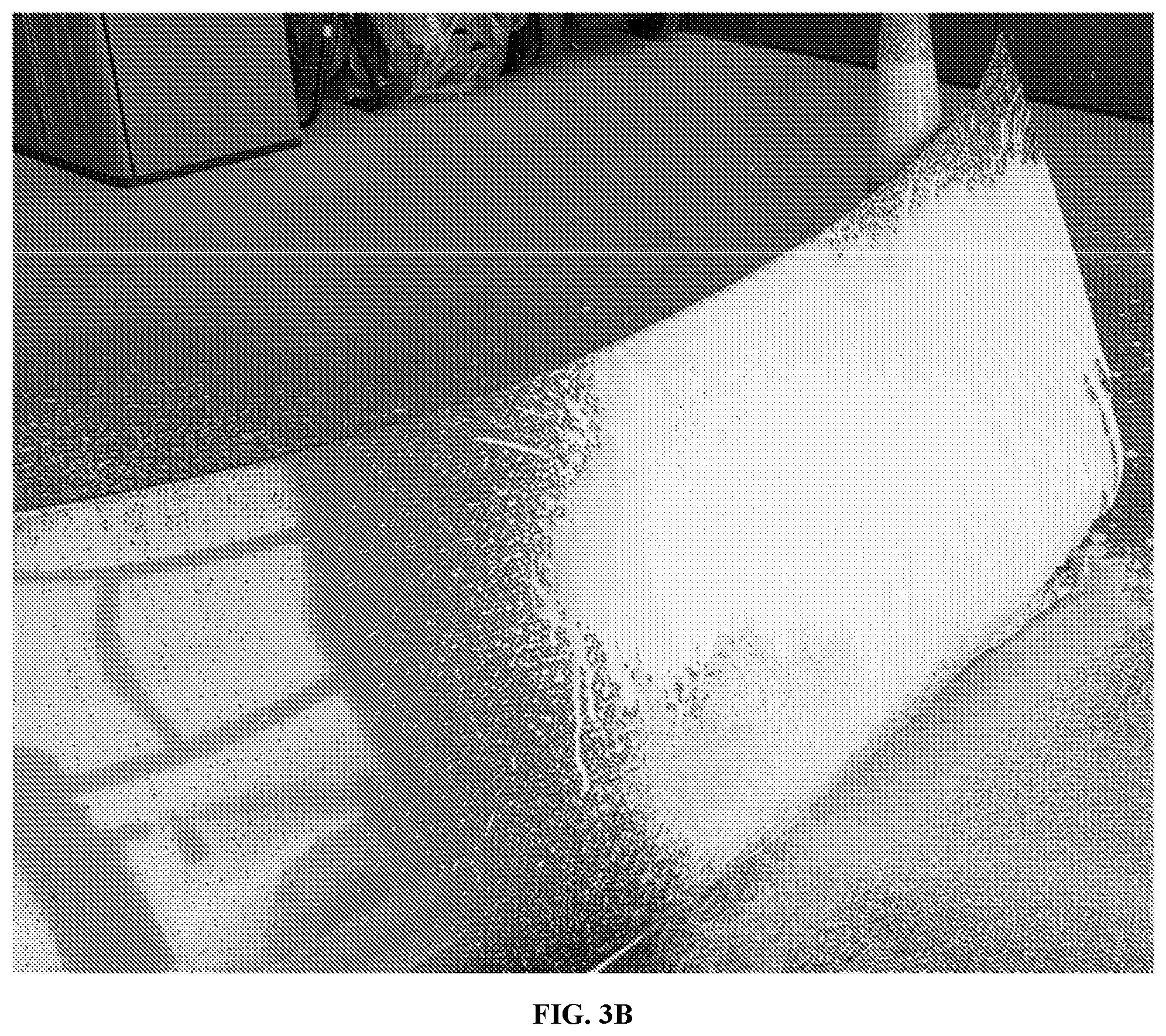 Patent US12590272 Figure 10 – Hydrophobic finish car wash compositions comprising an aminosilicone and amphoteric/nonionic surfactant mixture