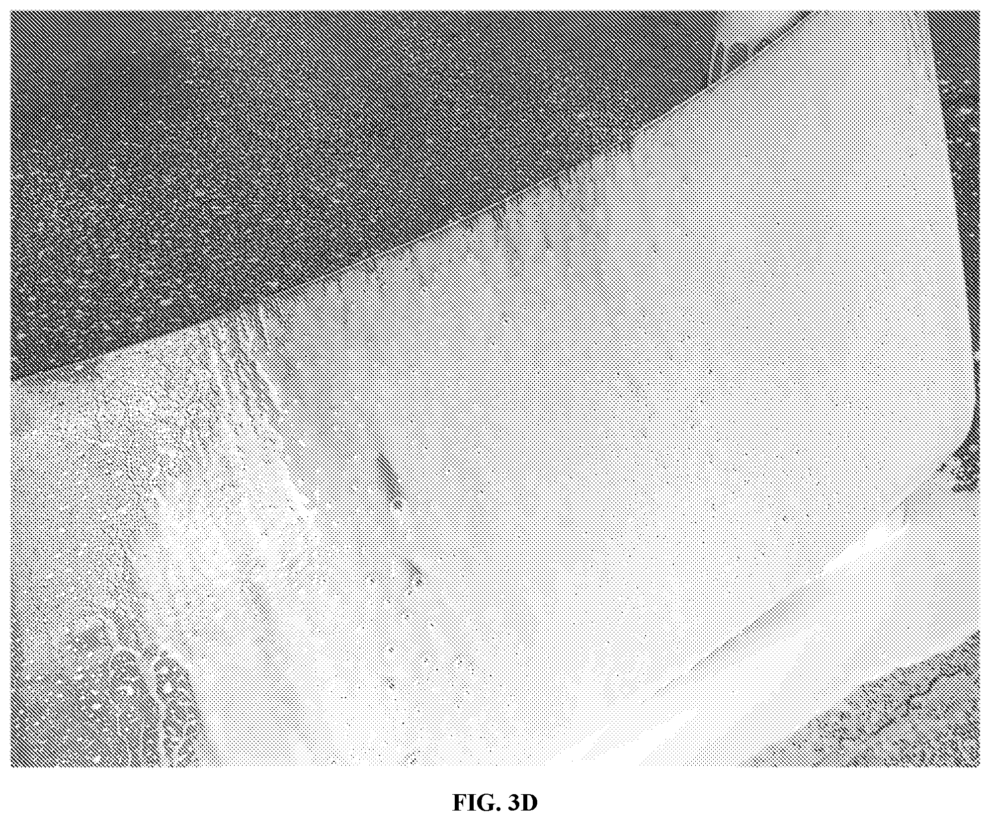 Patent US12590272 Figure 12 – Hydrophobic finish car wash compositions comprising an aminosilicone and amphoteric/nonionic surfactant mixture