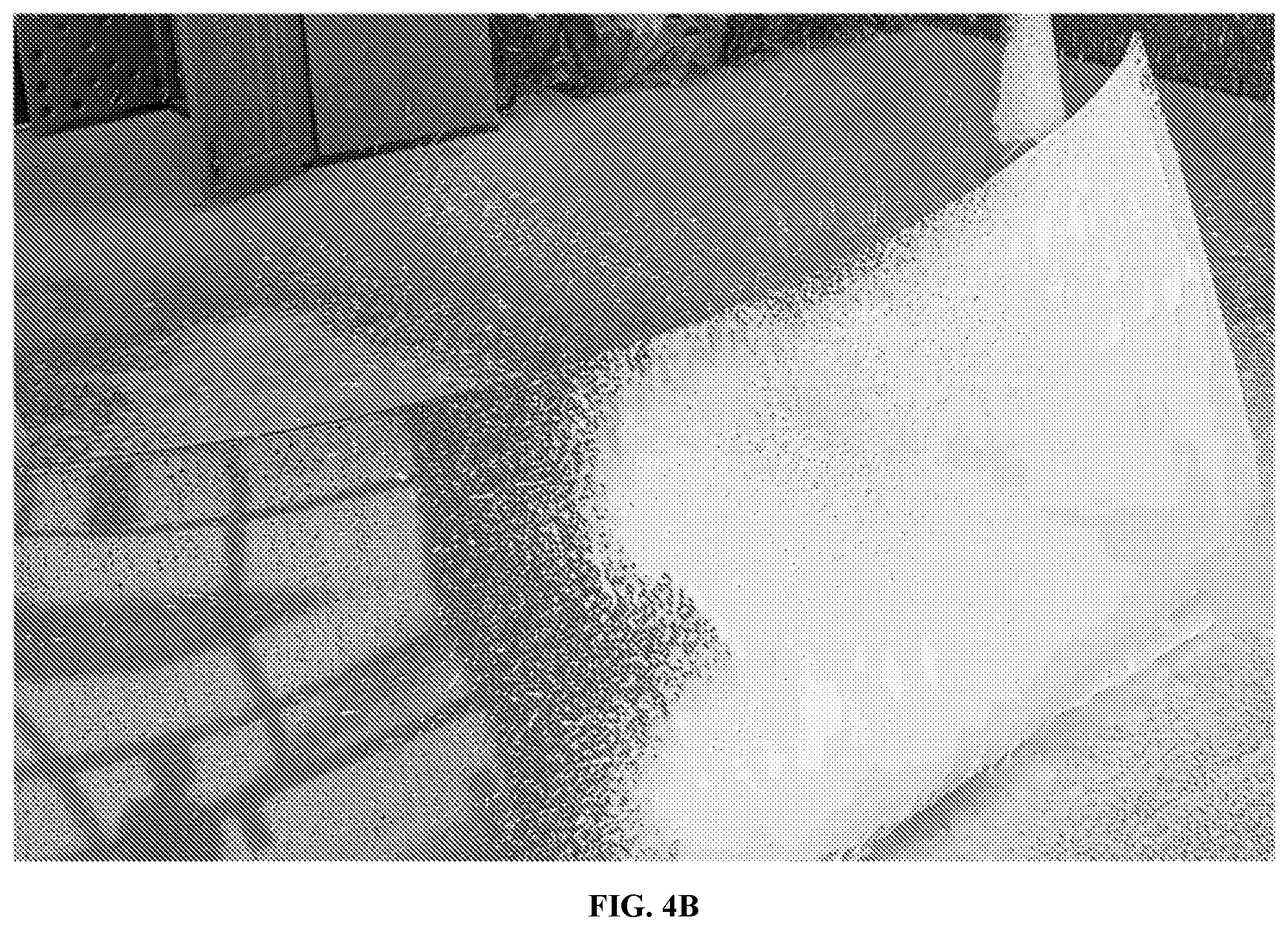 Patent US12590272 Figure 14 – Hydrophobic finish car wash compositions comprising an aminosilicone and amphoteric/nonionic surfactant mixture