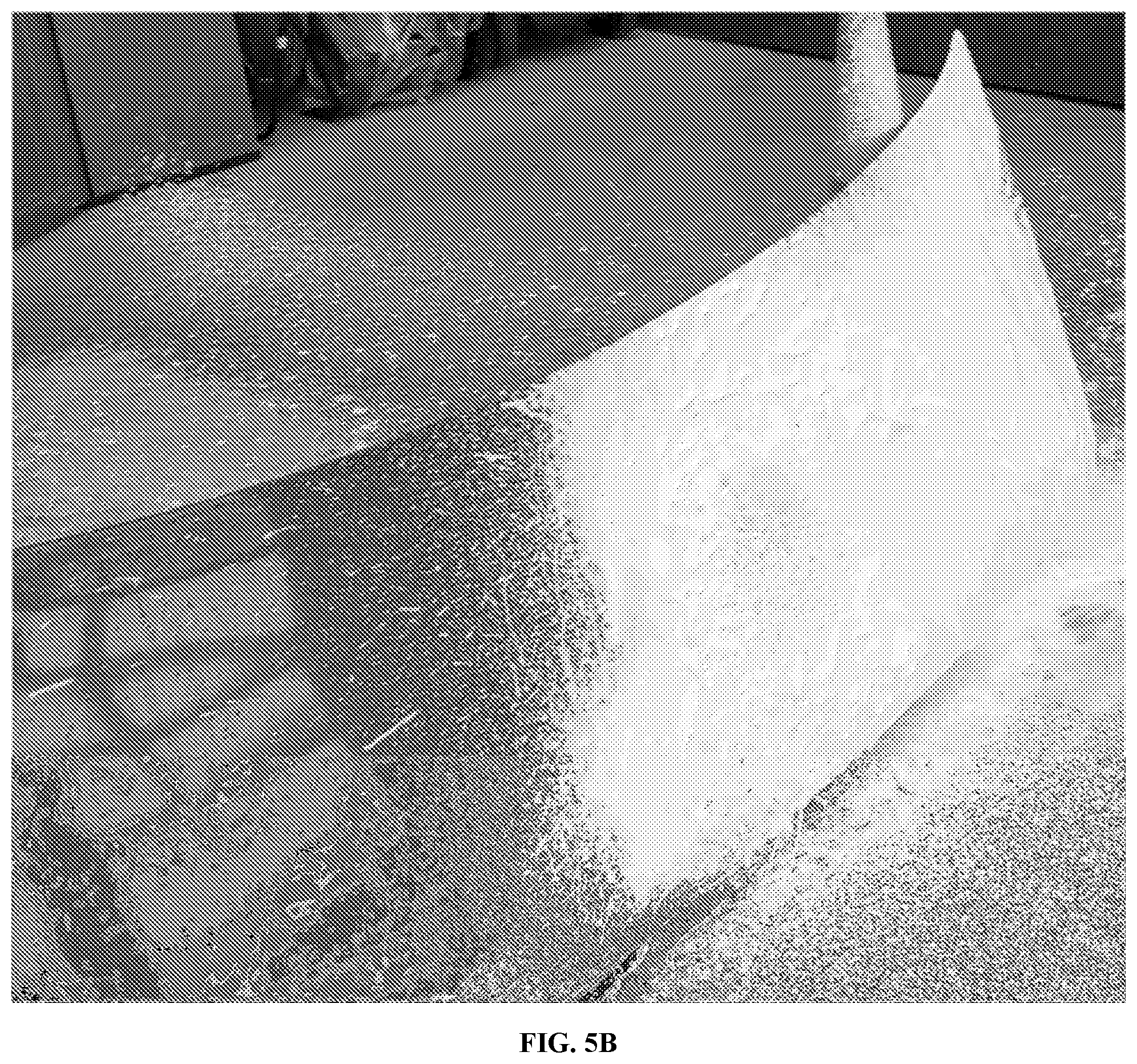Patent US12590272 Figure 18 – Hydrophobic finish car wash compositions comprising an aminosilicone and amphoteric/nonionic surfactant mixture