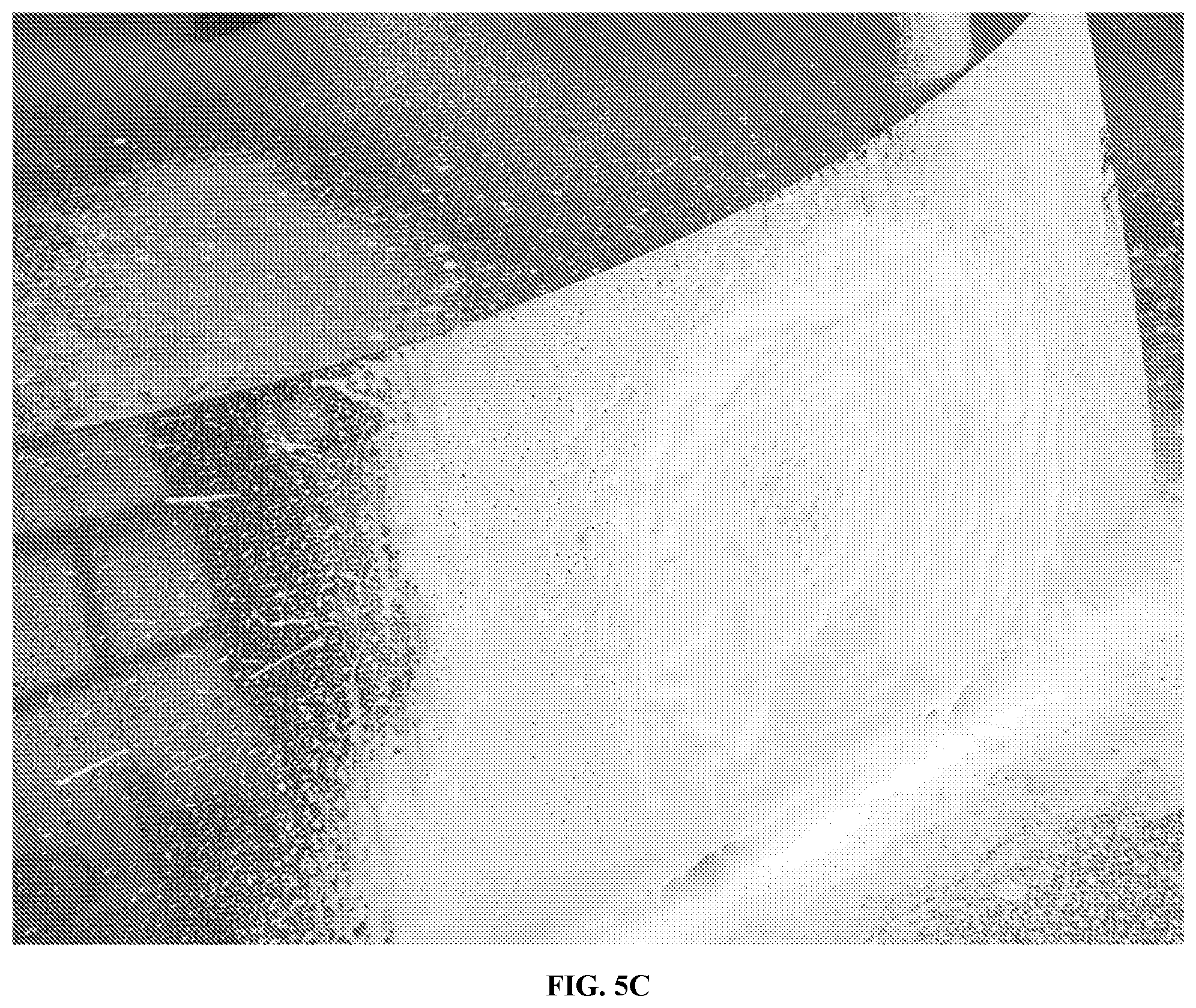 Patent US12590272 Figure 19 – Hydrophobic finish car wash compositions comprising an aminosilicone and amphoteric/nonionic surfactant mixture