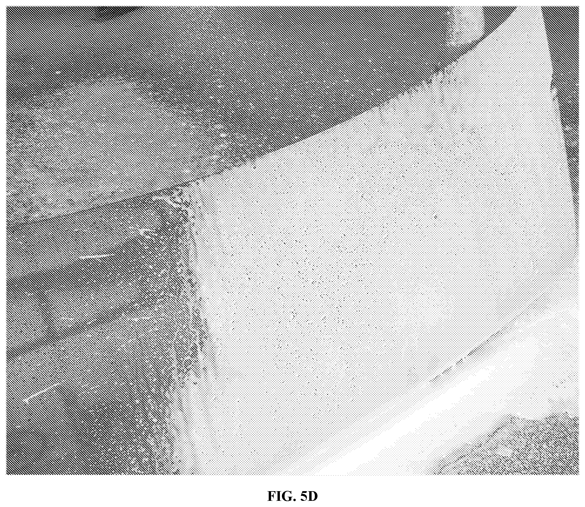 Patent US12590272 Figure 20 – Hydrophobic finish car wash compositions comprising an aminosilicone and amphoteric/nonionic surfactant mixture